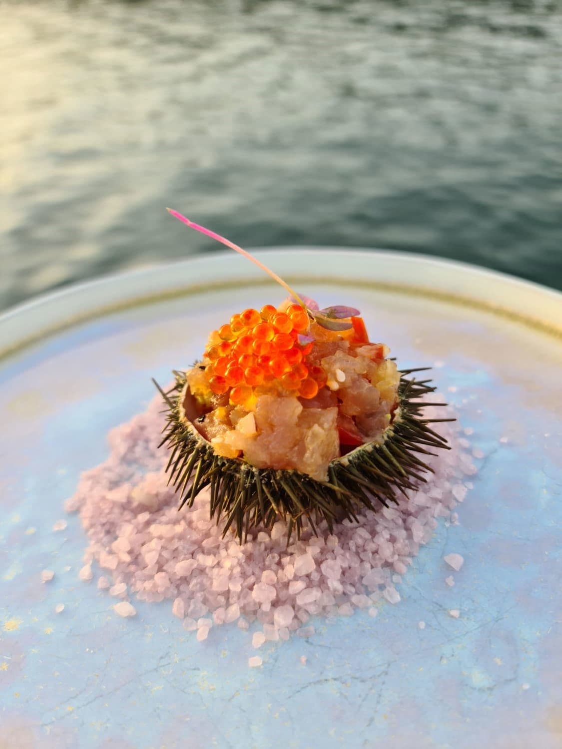 Lagoon 620 - photo 46