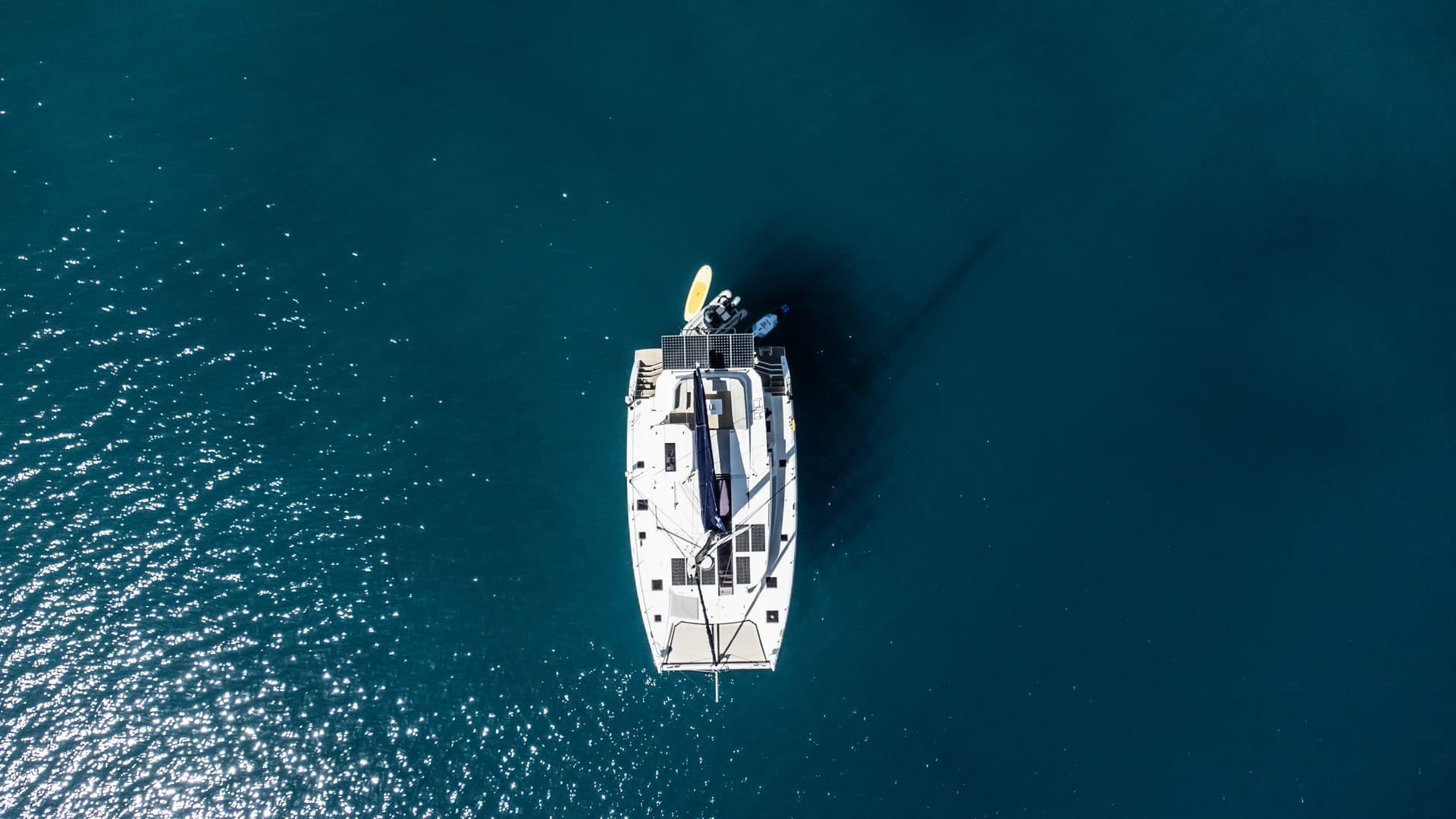 Leopard 50 - photo 30