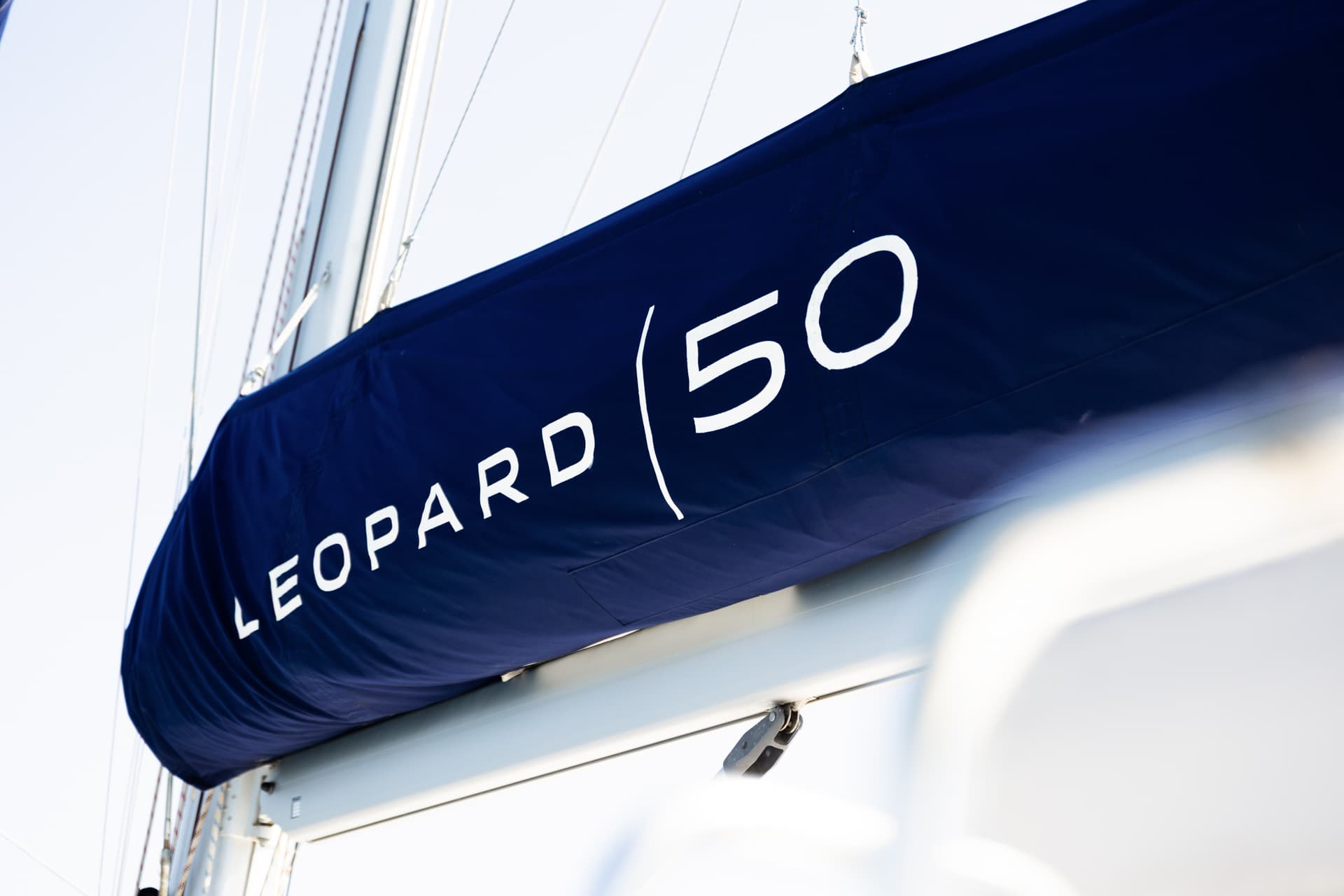 Leopard 50 - photo 17