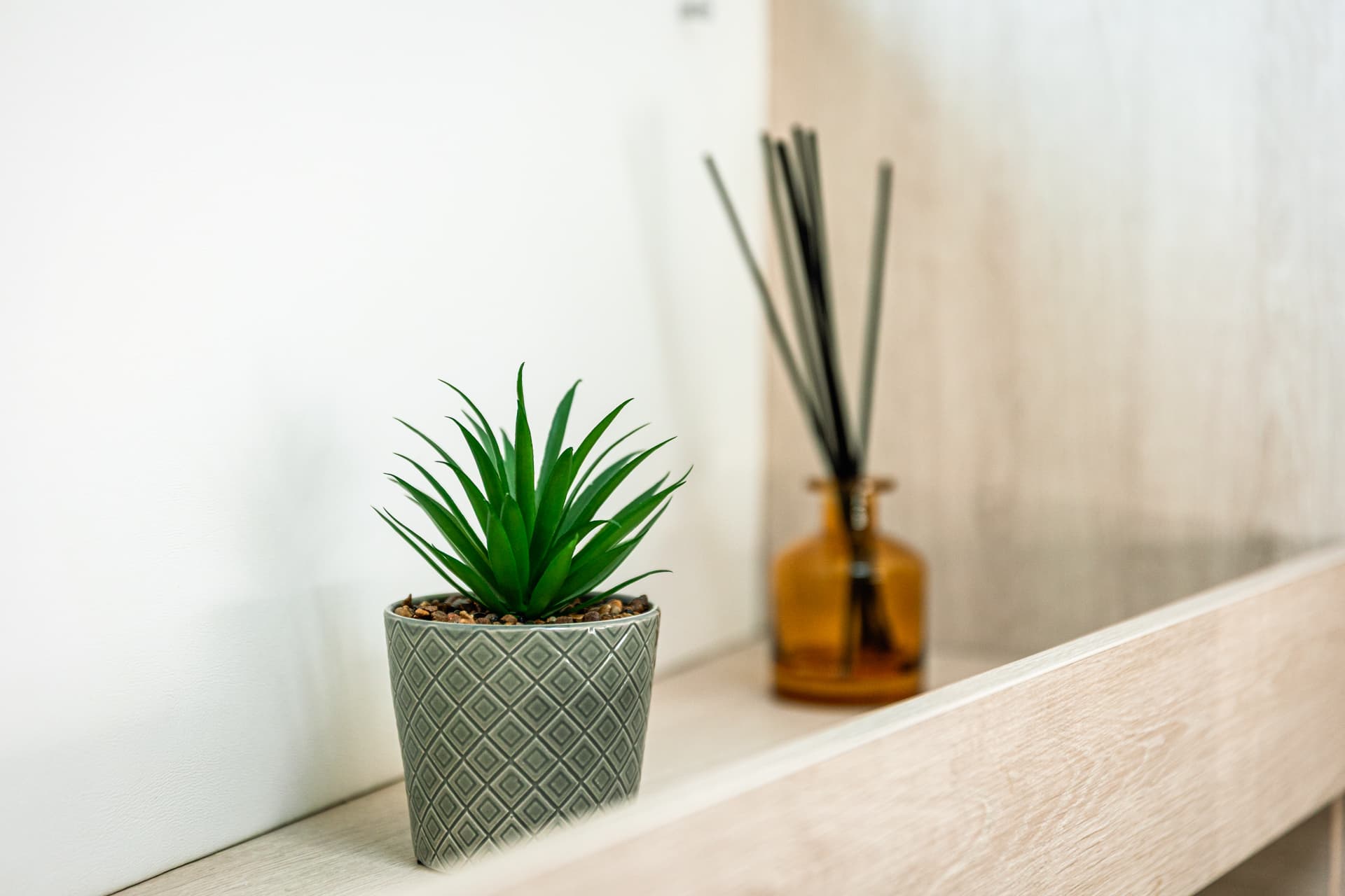 Leopard 50 - photo 23