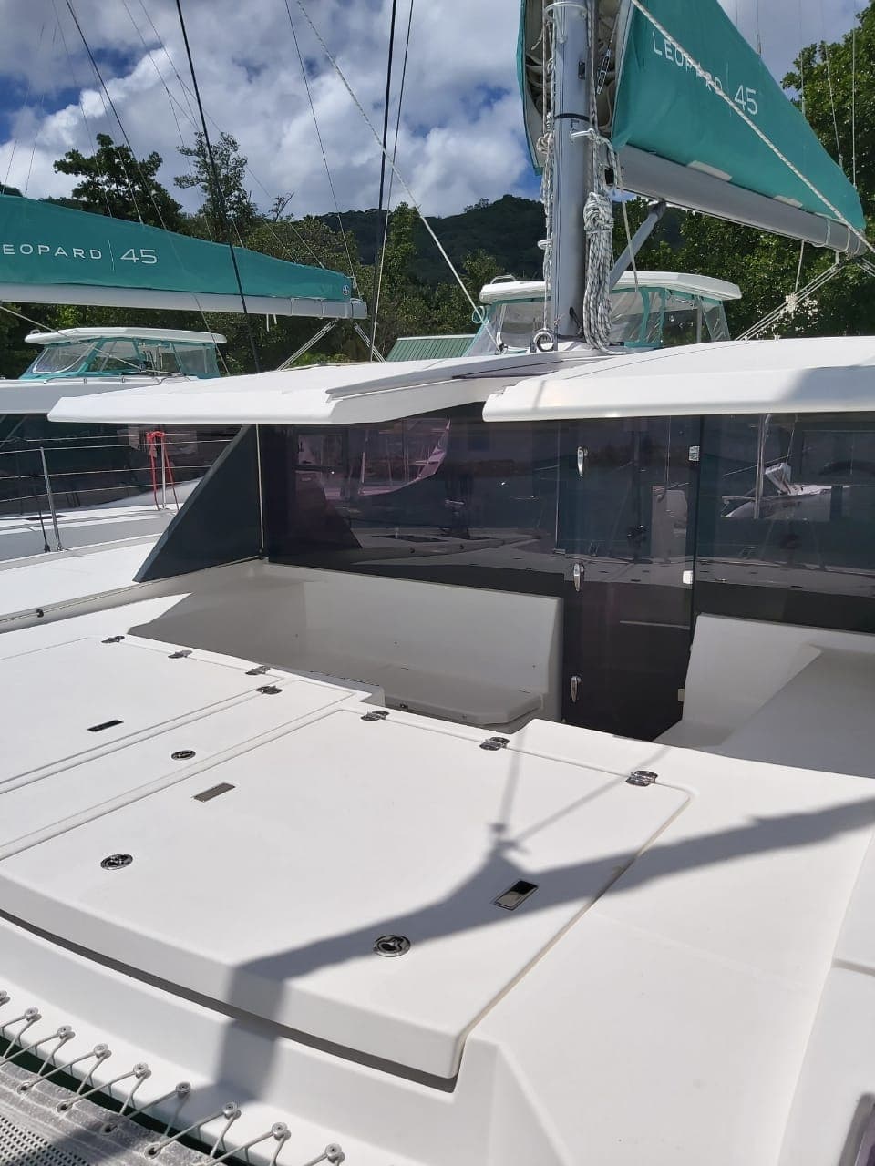 Leopard 45 - photo 9