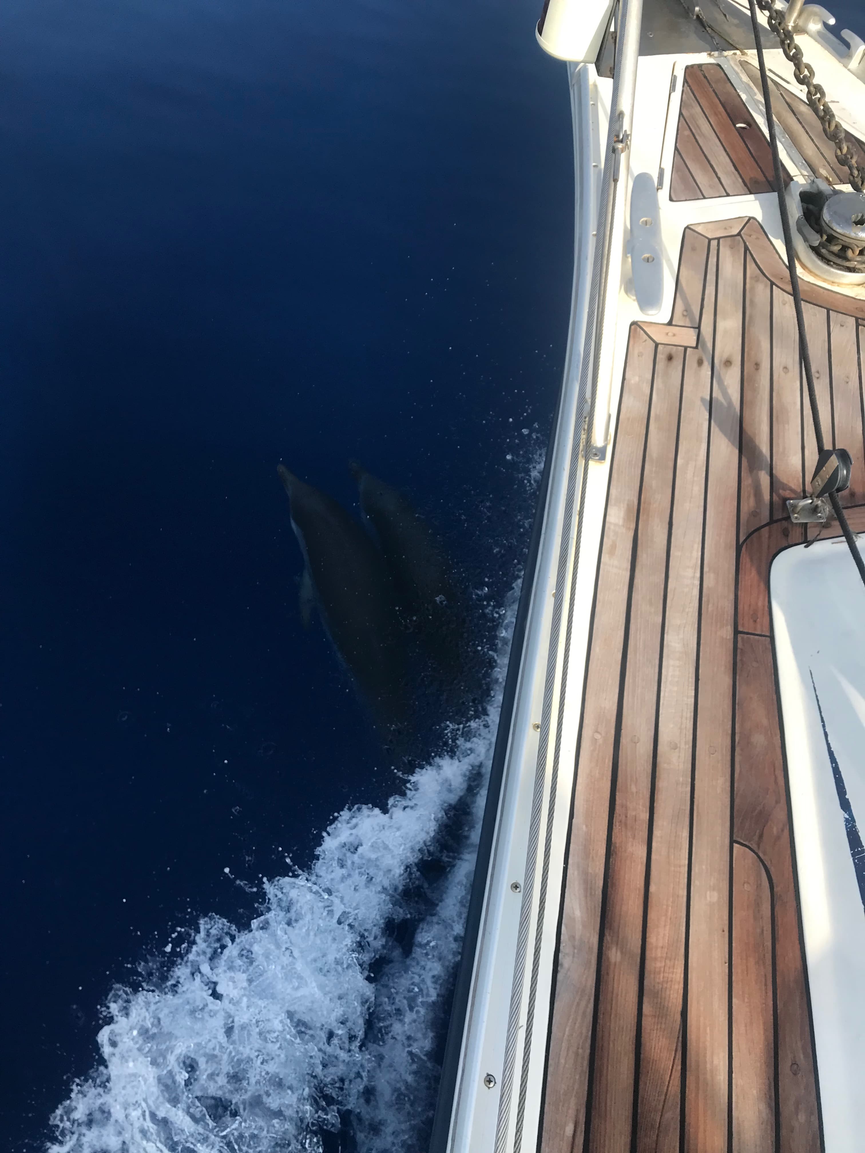 Ocean Star 51.2 - photo 18