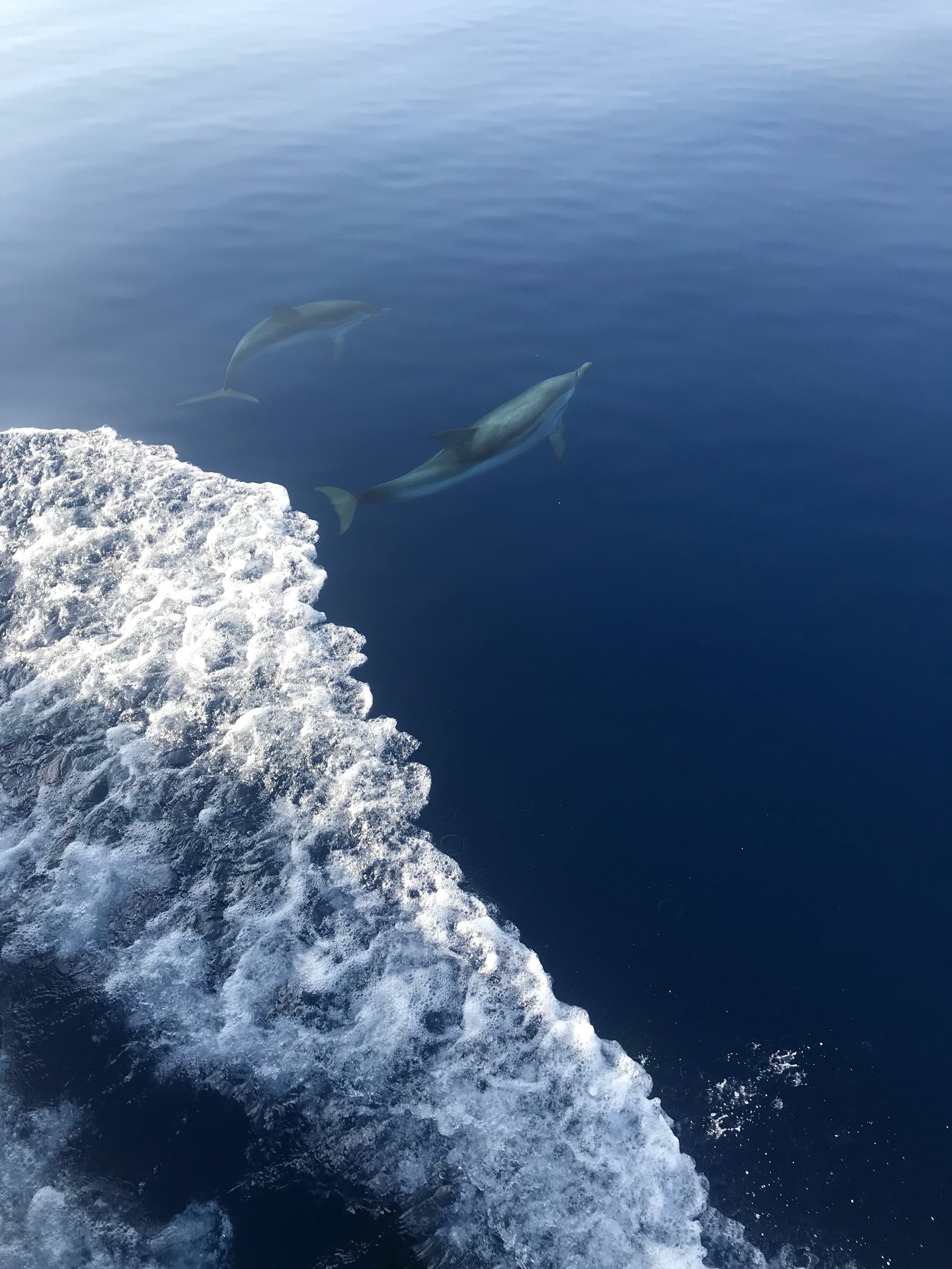 Ocean Star 51.2 - photo 9