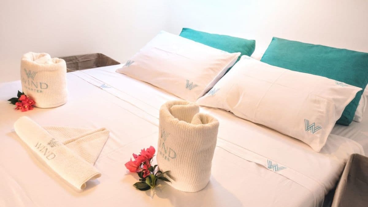 CatFlash 43 - photo 19