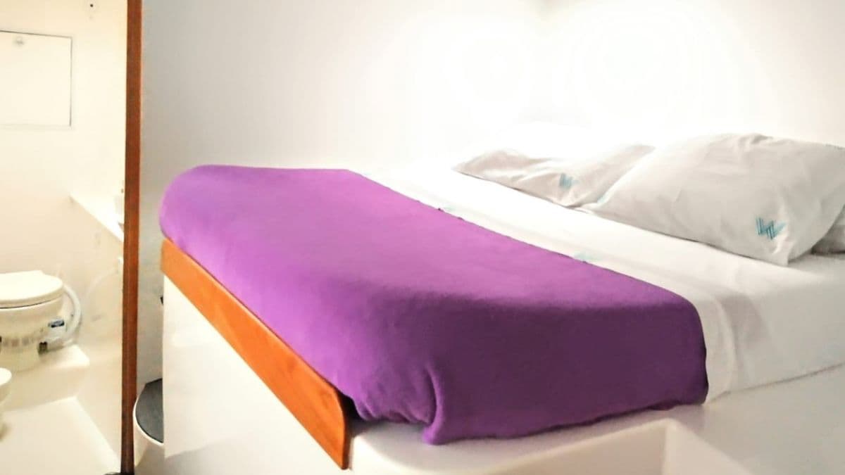 CatFlash 43 - photo 4