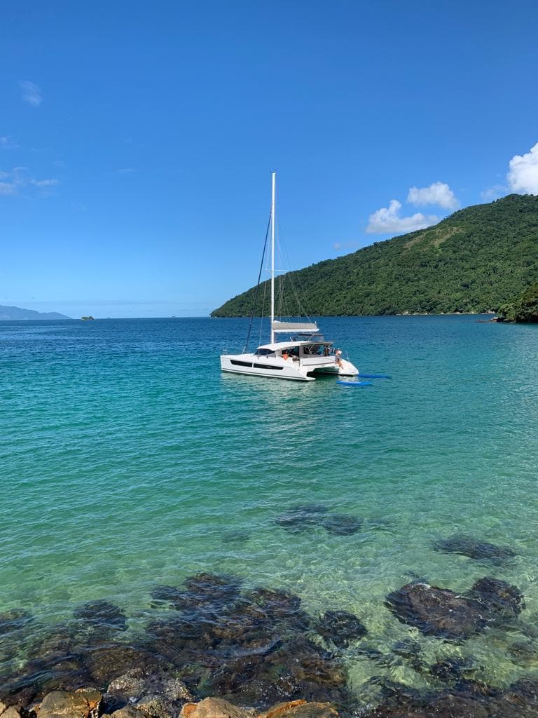 CatFlash 43 - photo 17