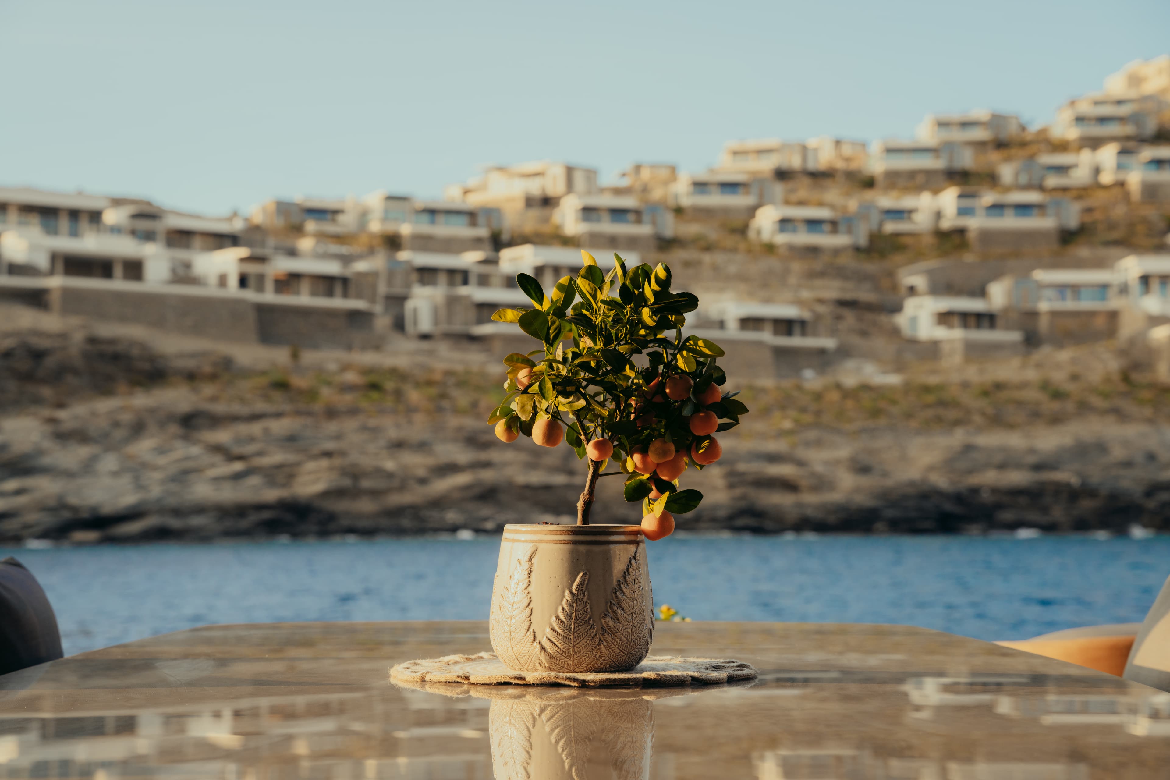 Moon Yacht 65 - photo 54