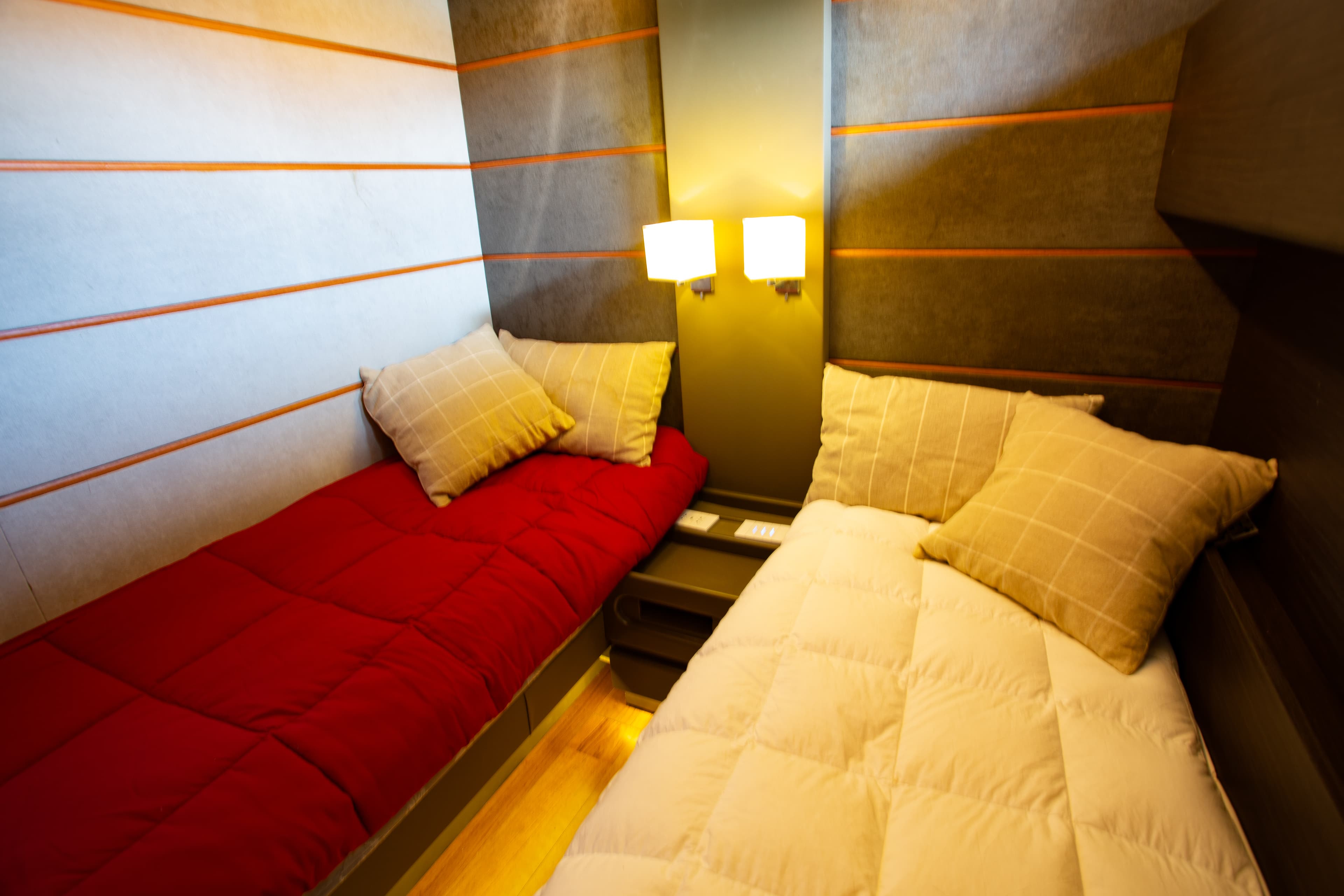 Leopard 24M - photo 16