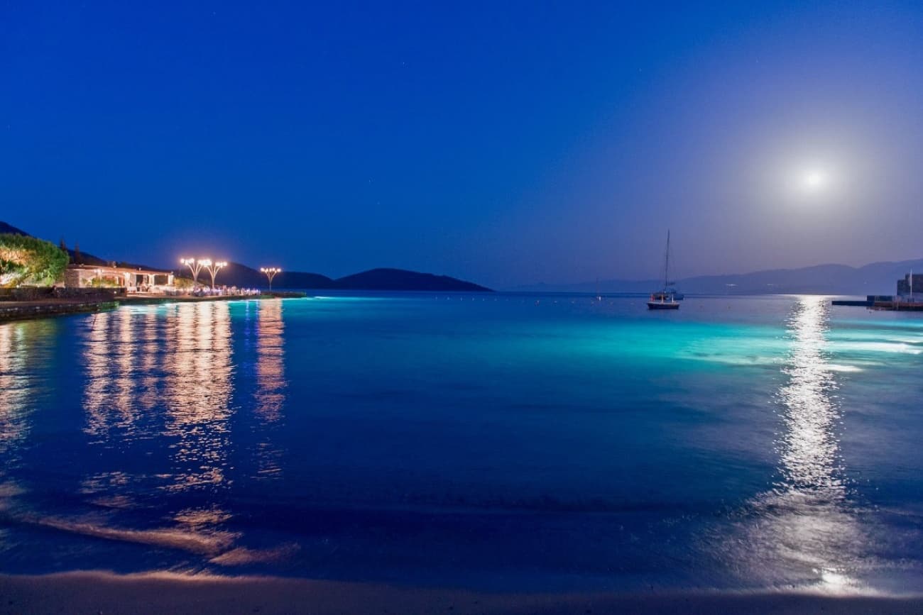 Elan Impression 514 - photo 29