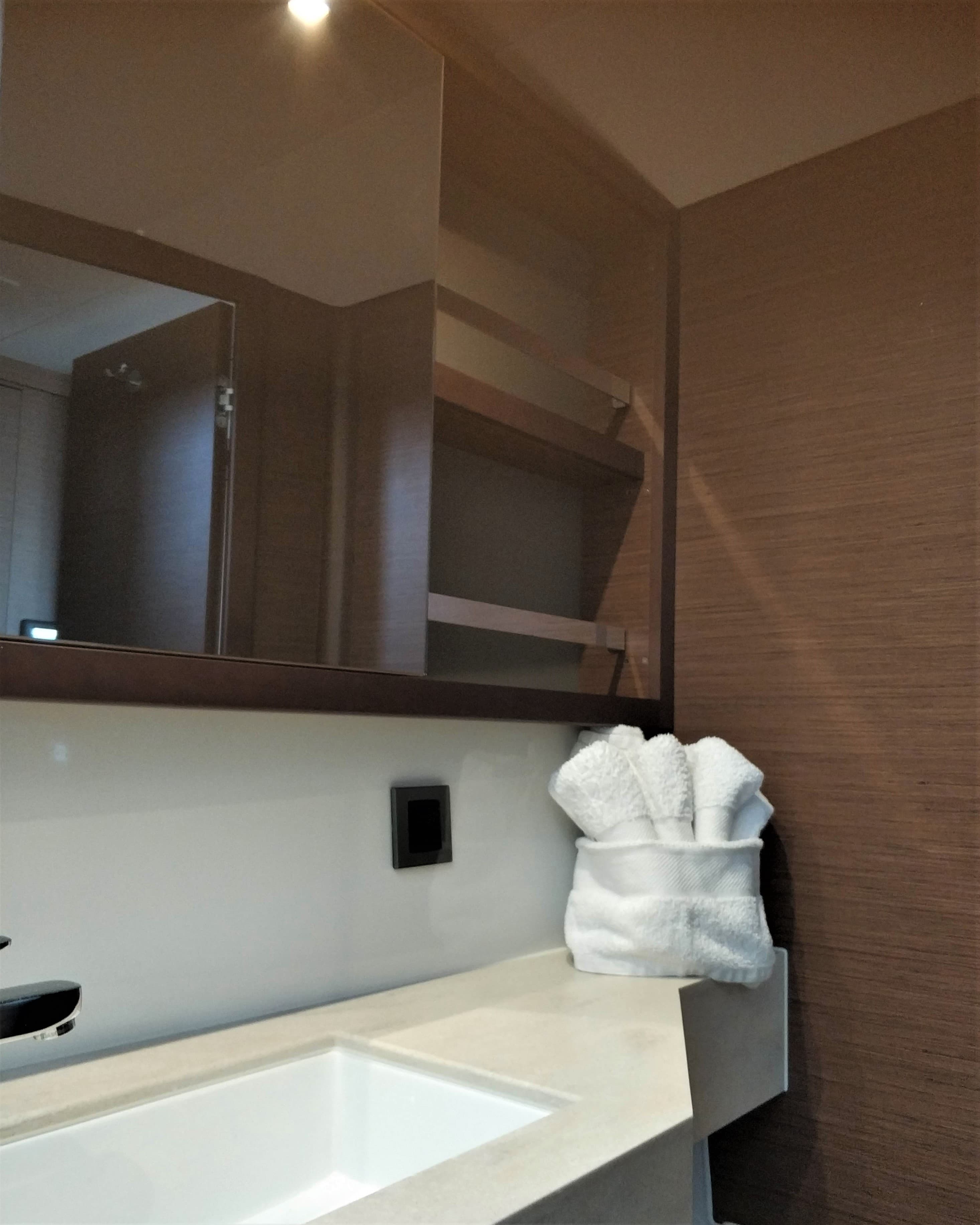 Lagoon 46  - photo 14