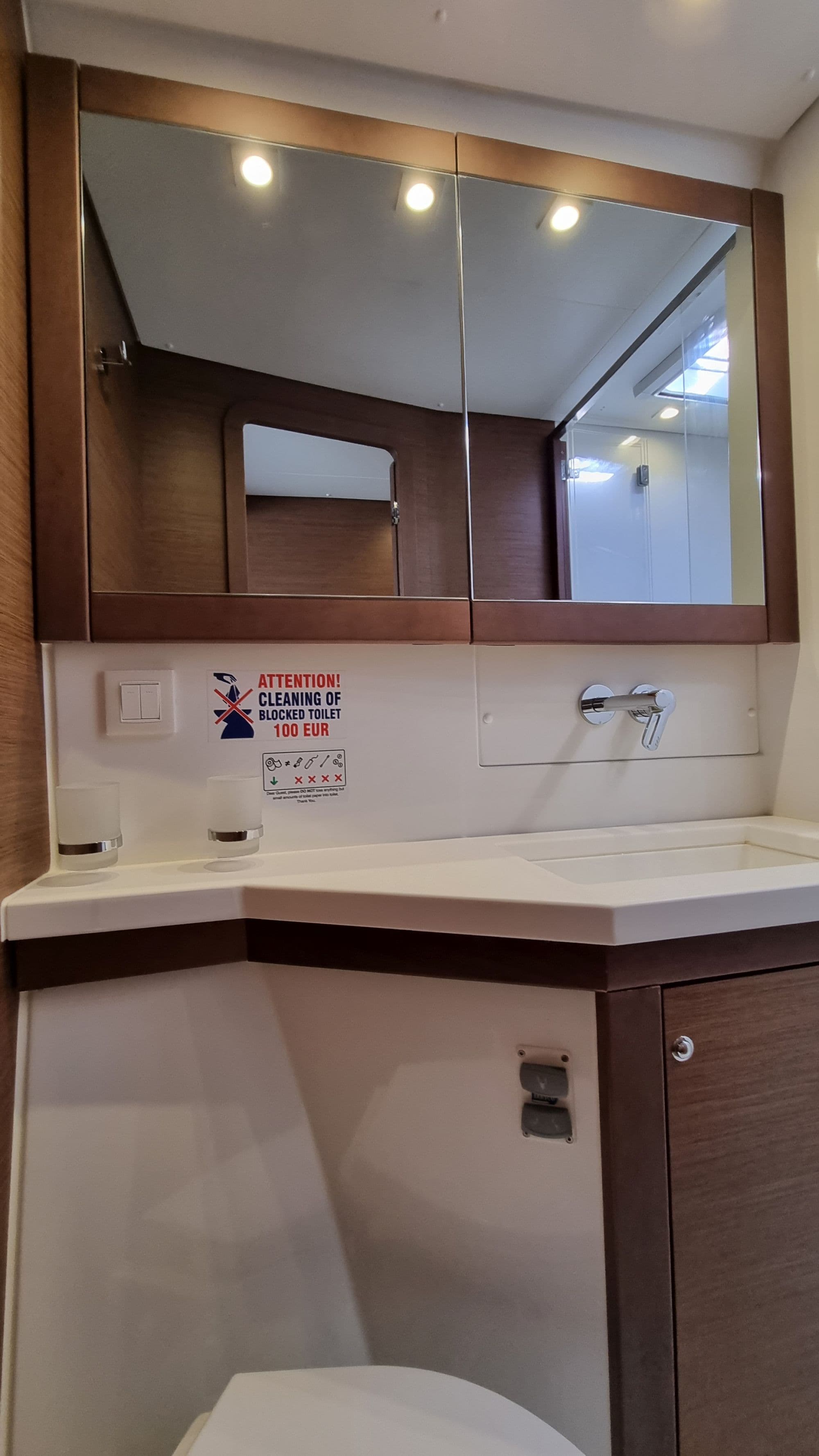 Lagoon 450 Fly - photo 33