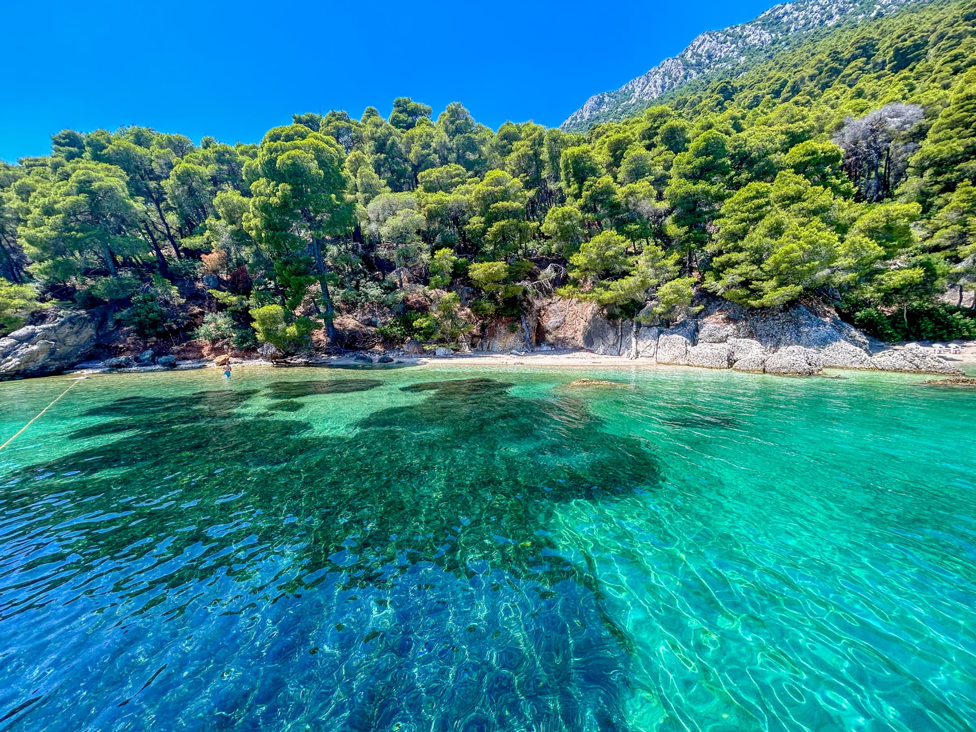 Sun Odyssey 479 - photo 7