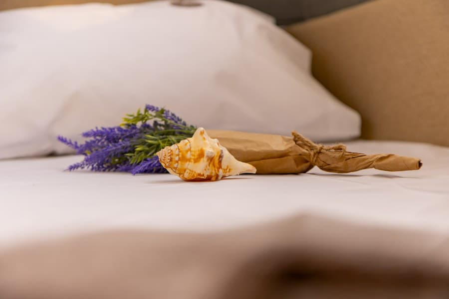 Axopar 37 XC Cross Cabin - photo 42