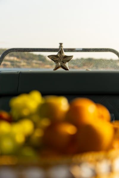 Axopar 37 XC Cross Cabin - photo 66