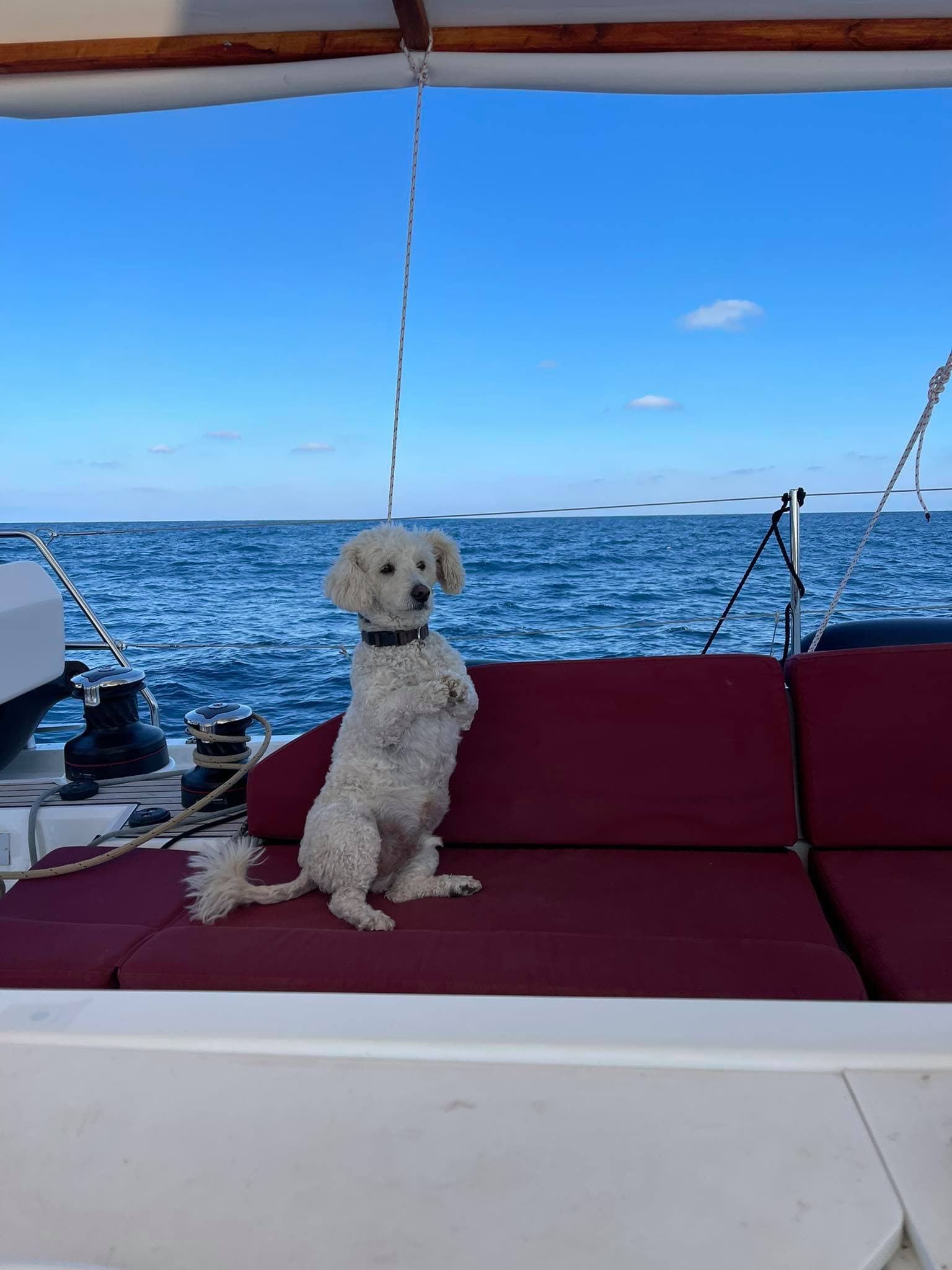 Oceanis 51.1 - photo 22