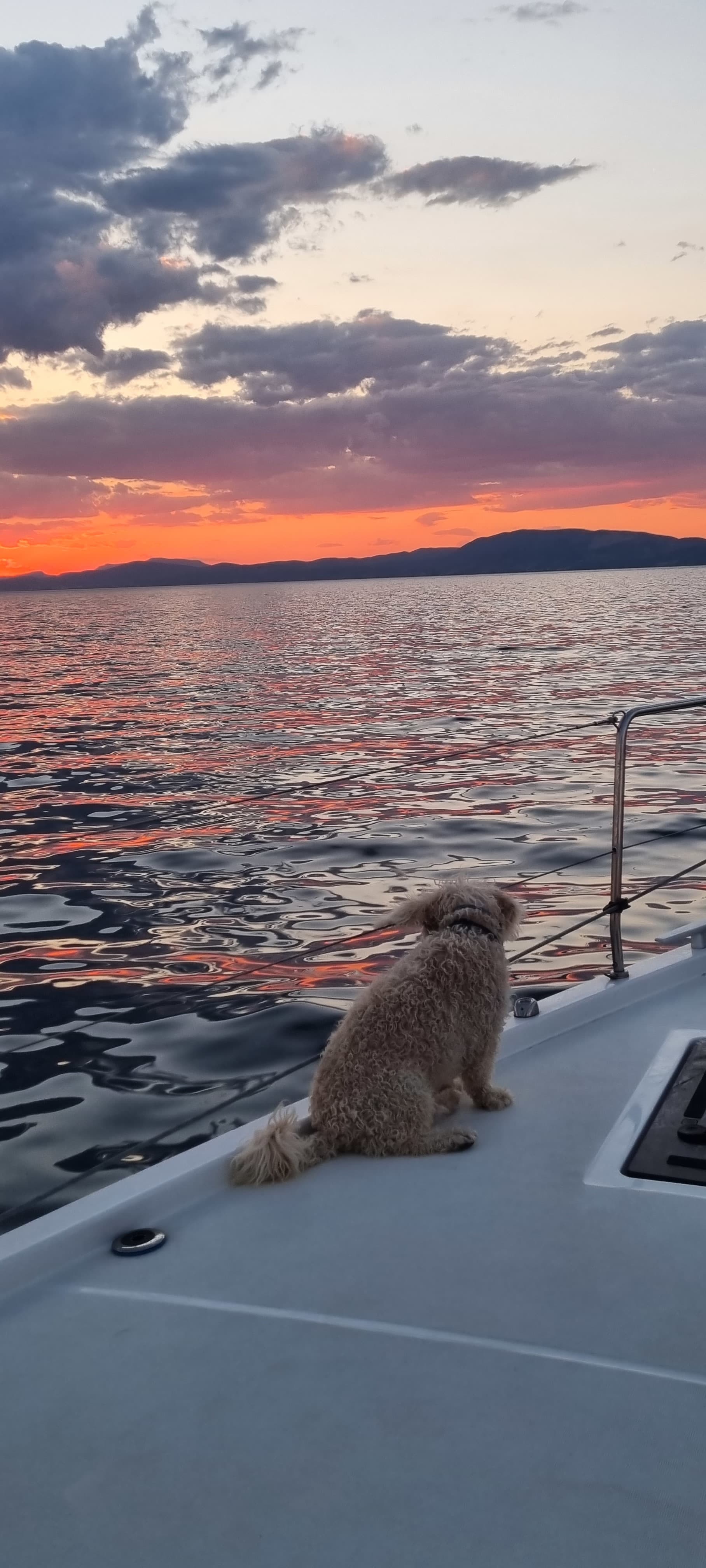 Oceanis 51.1 - photo 7