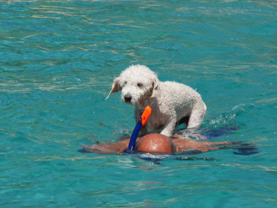 Oceanis 51.1 - photo 8