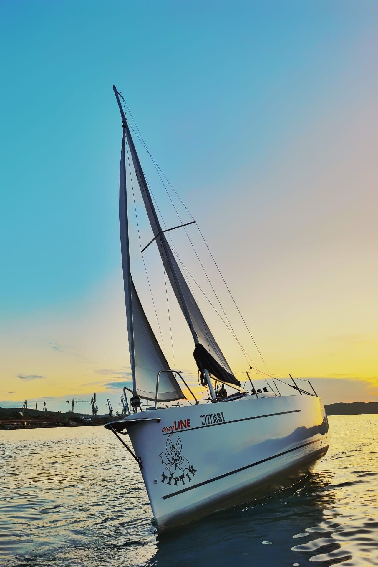 Viko S 21 - photo 18