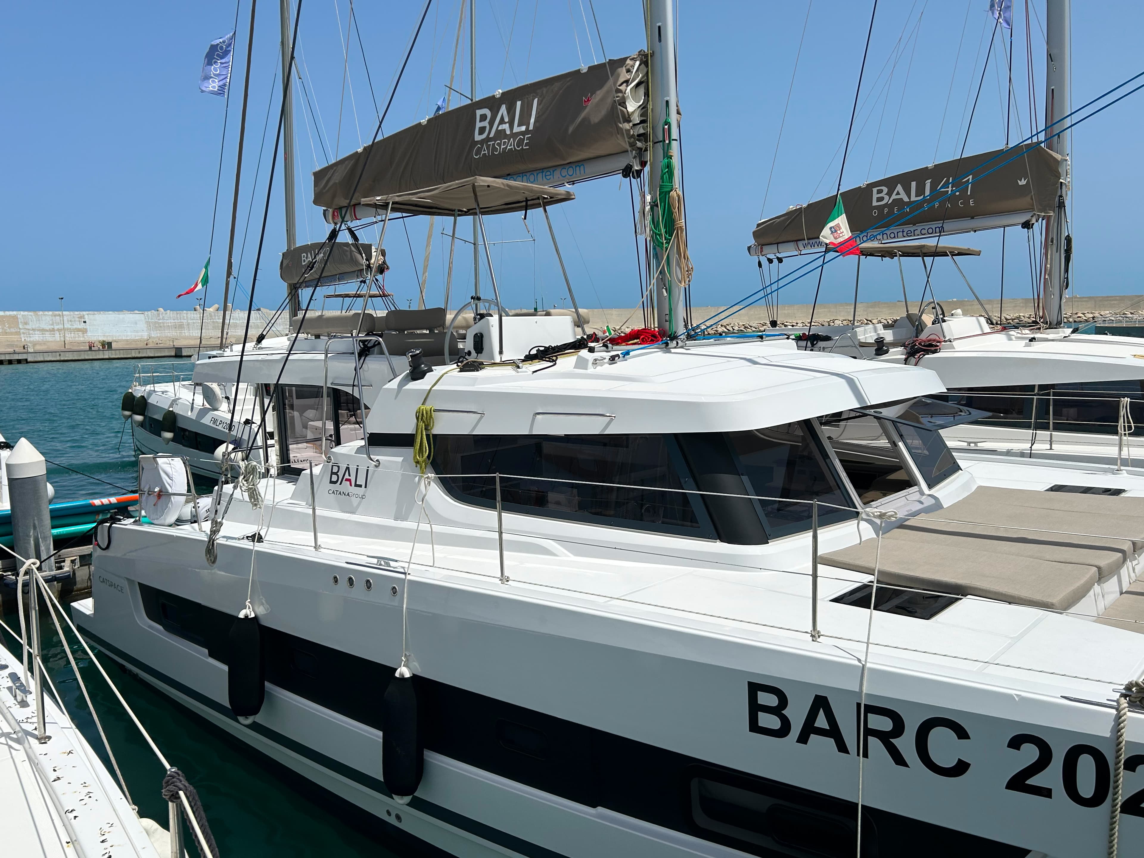 Bali Catspace - photo 14