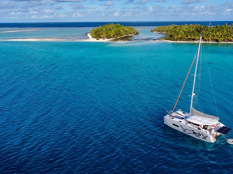 Excess 11 - photo 14