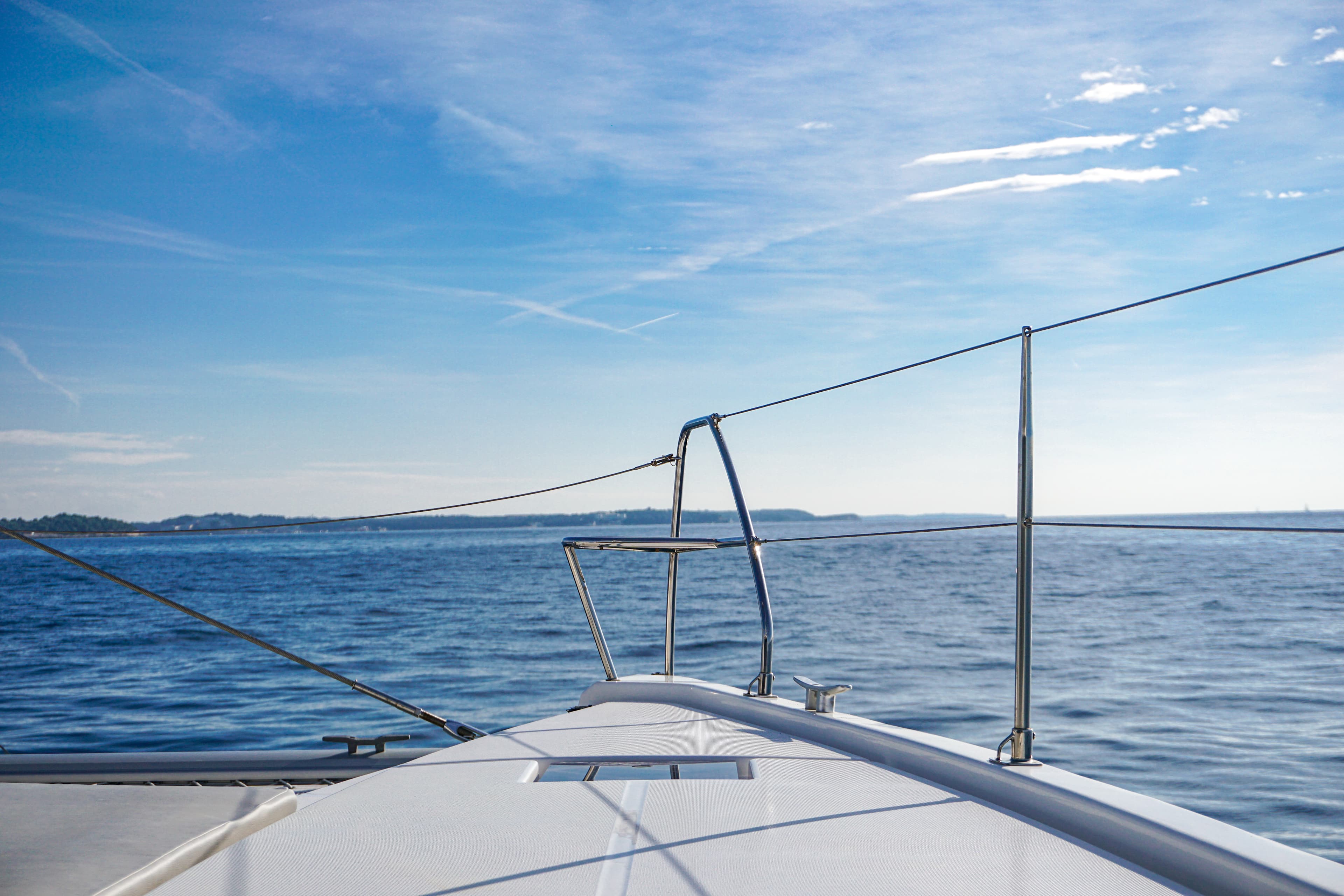 Leopard 50 - photo 6