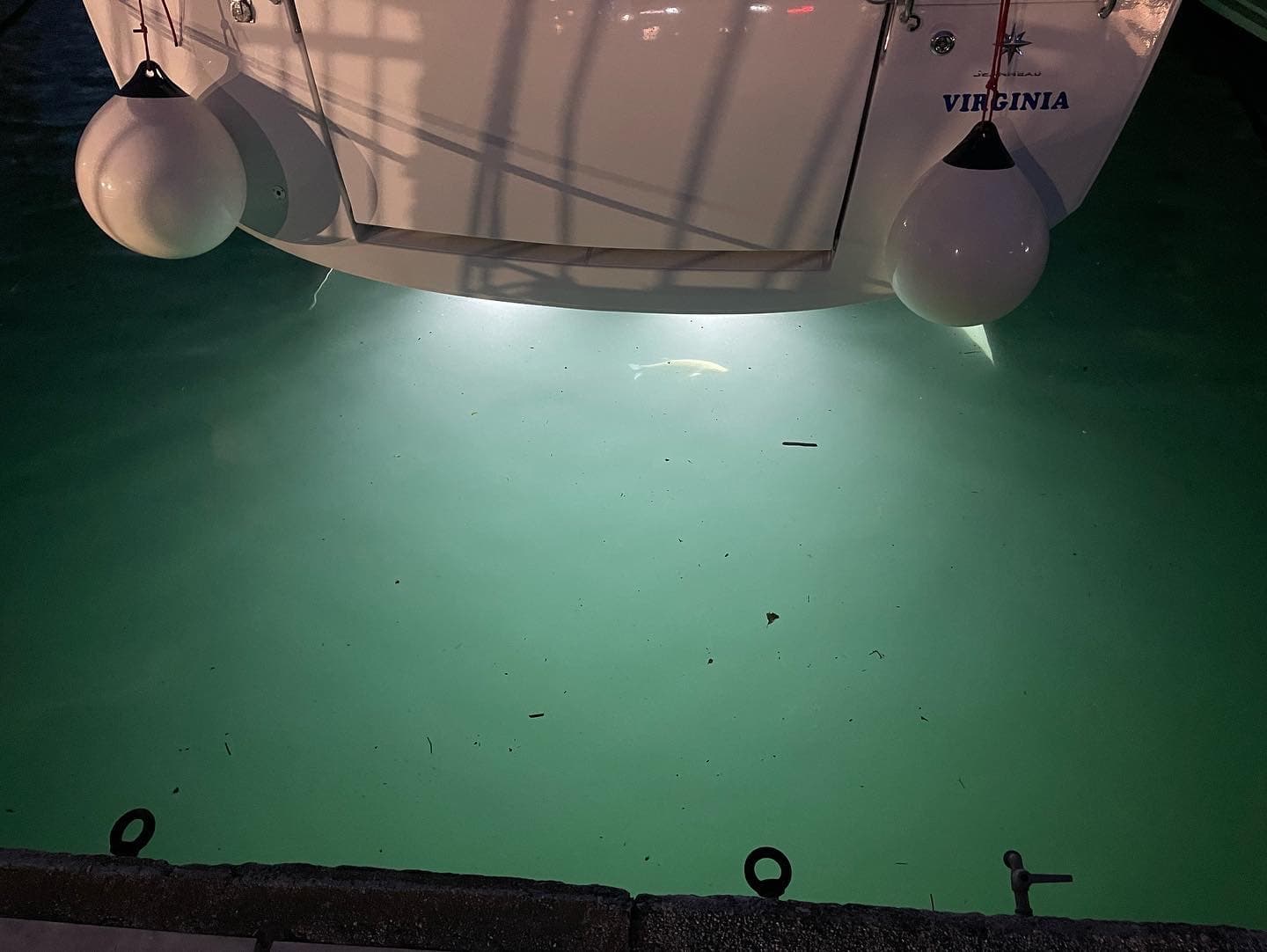 Sun Odyssey 440 - photo 5