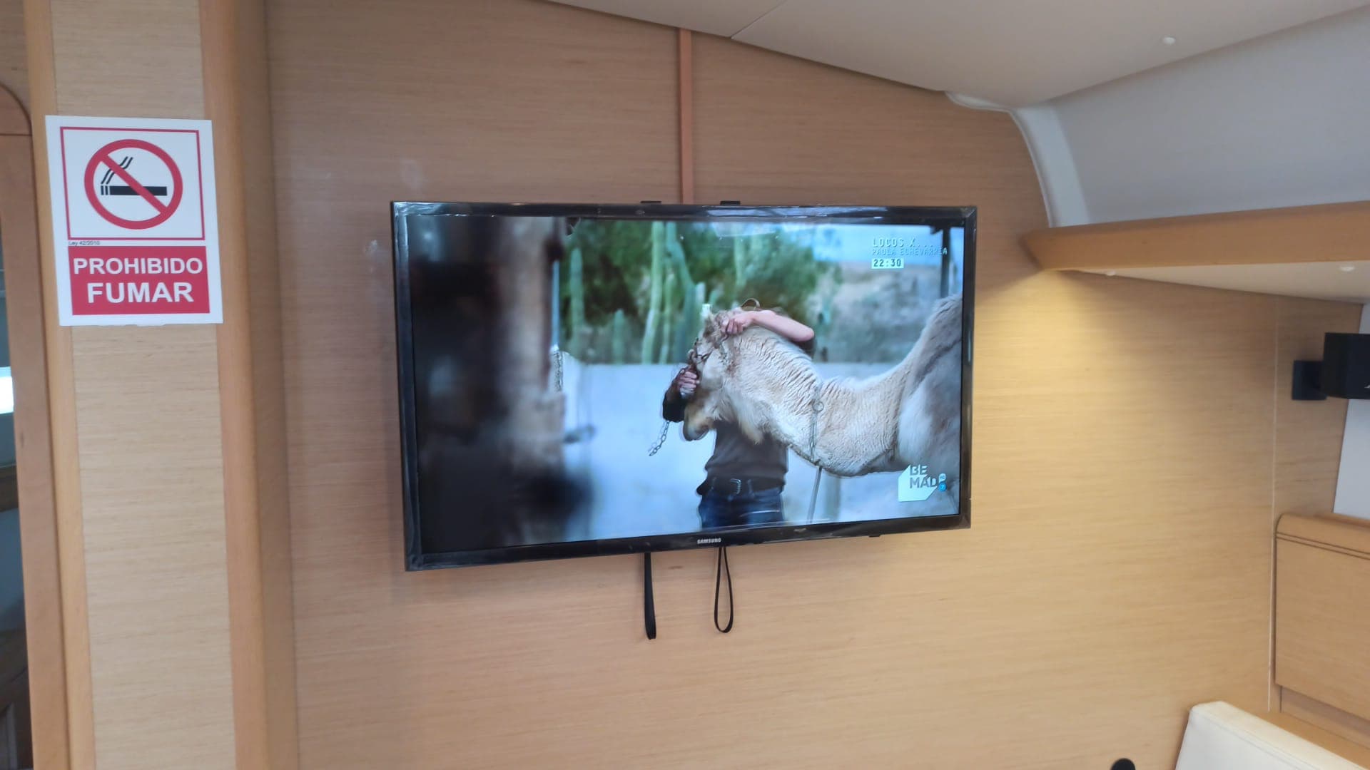 Sun Odyssey 449 - photo 18