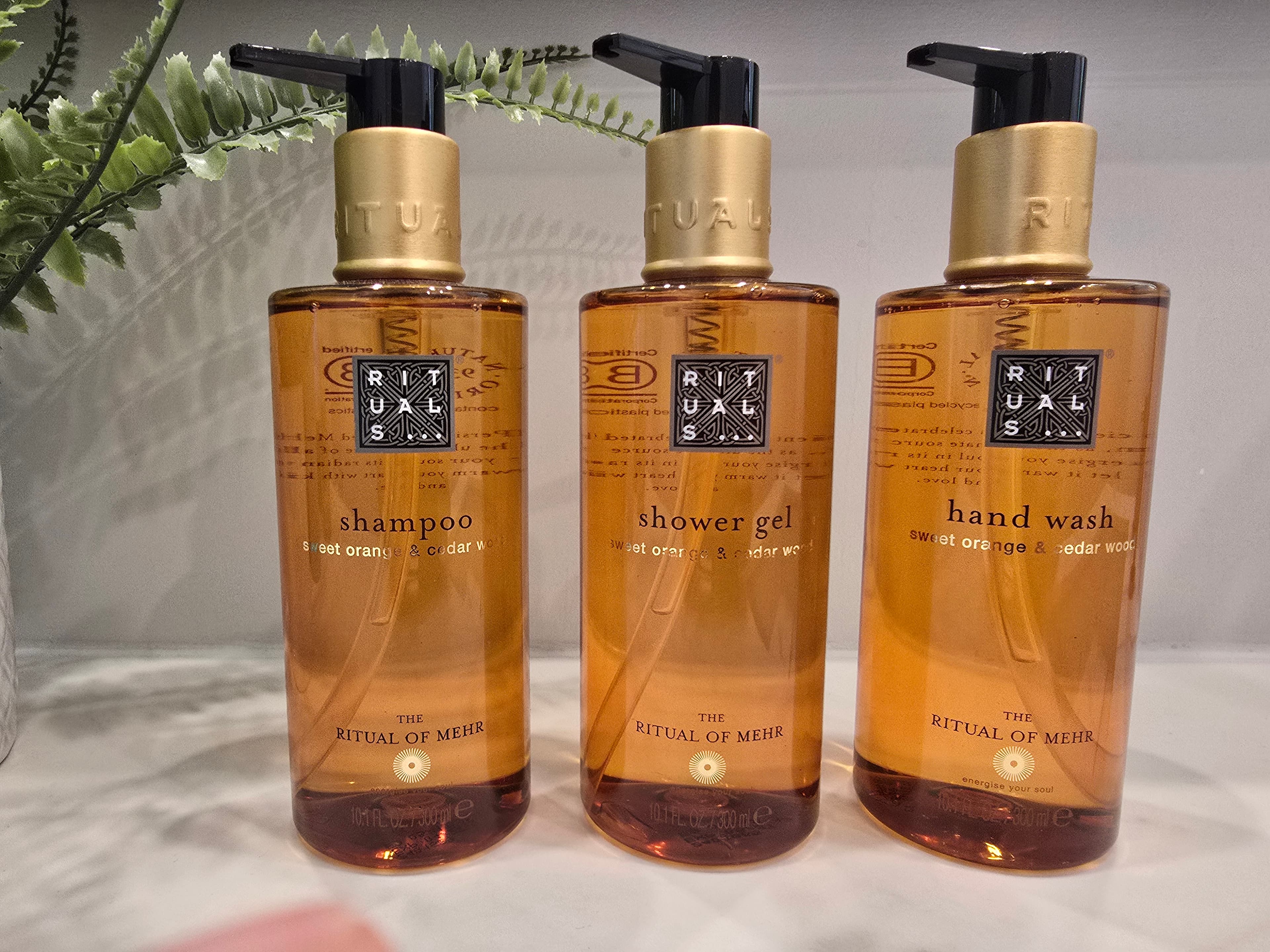 Ocean Beast 65 - photo 5