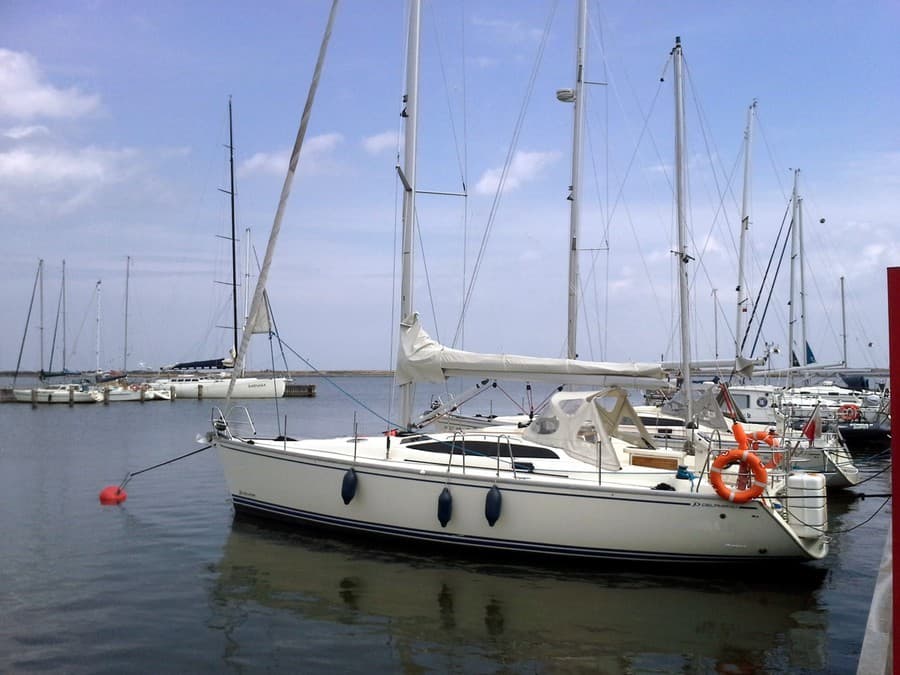 Delphia 40.3 - photo 7