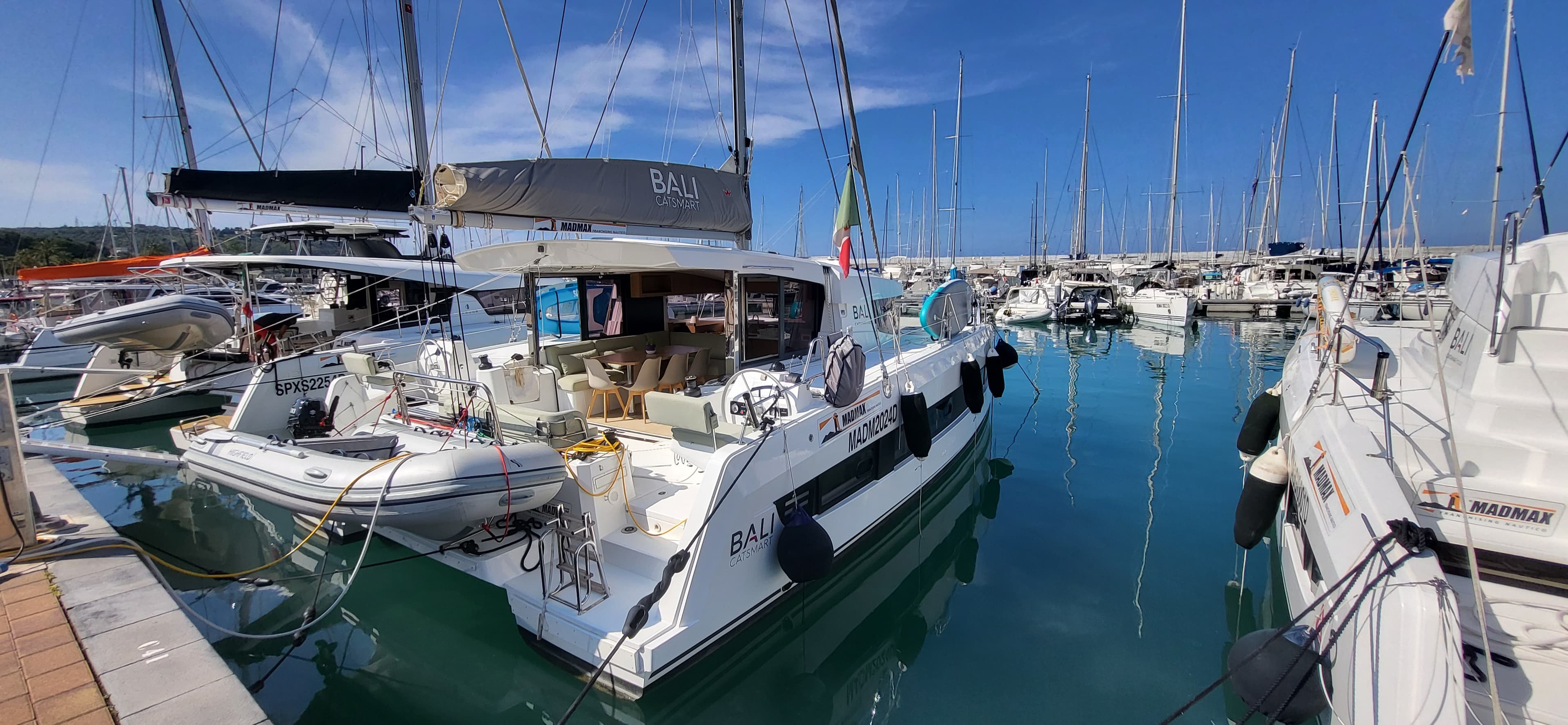 Bali Catsmart - photo 6