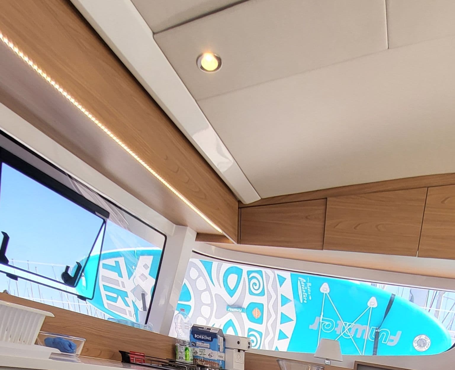 Bali Catsmart - photo 49