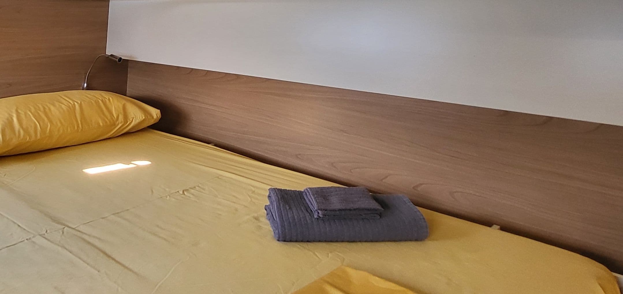 Bali Catsmart - photo 20