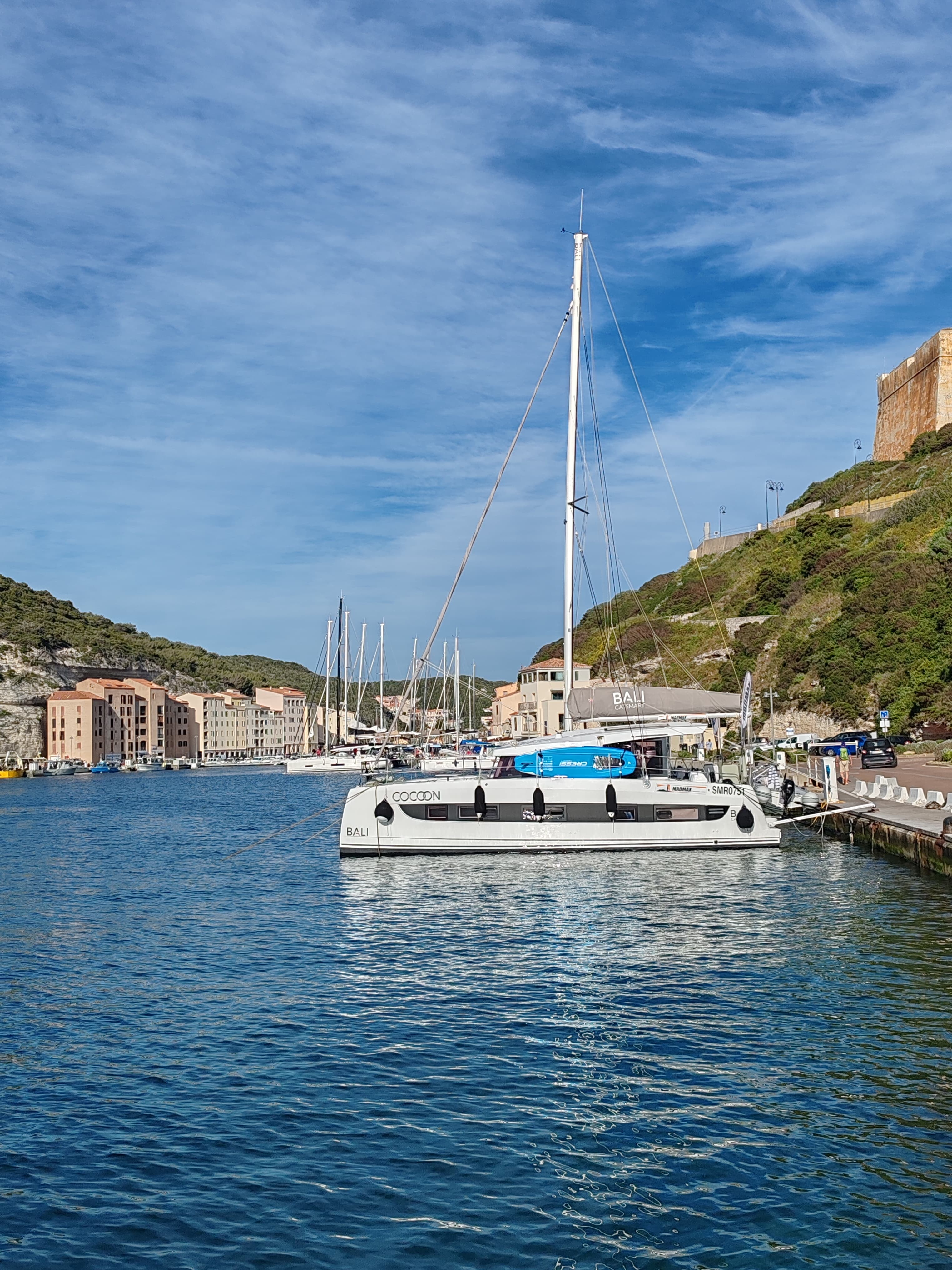 Bali Catsmart - photo 61