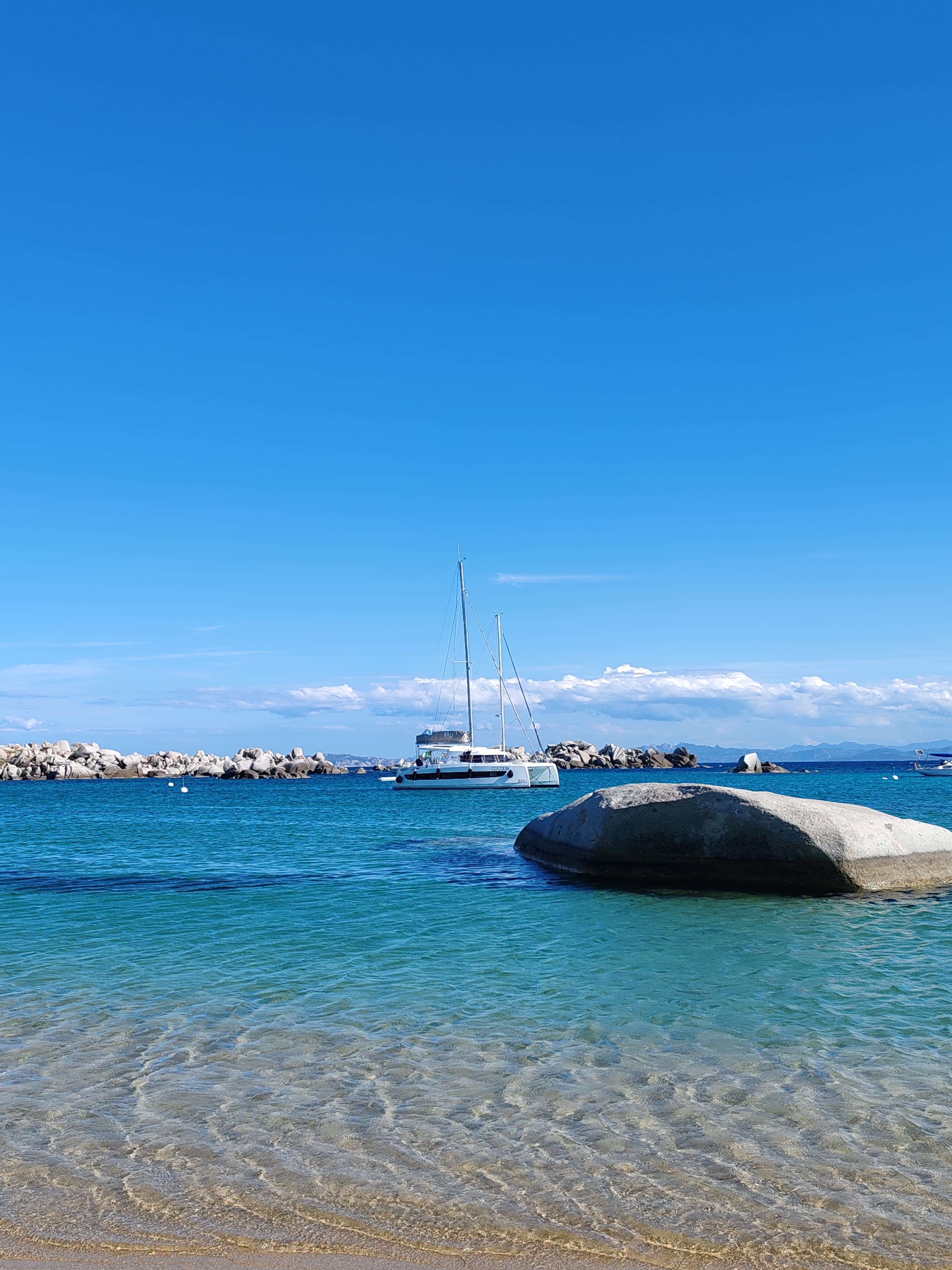 Bali Catsmart - photo 15