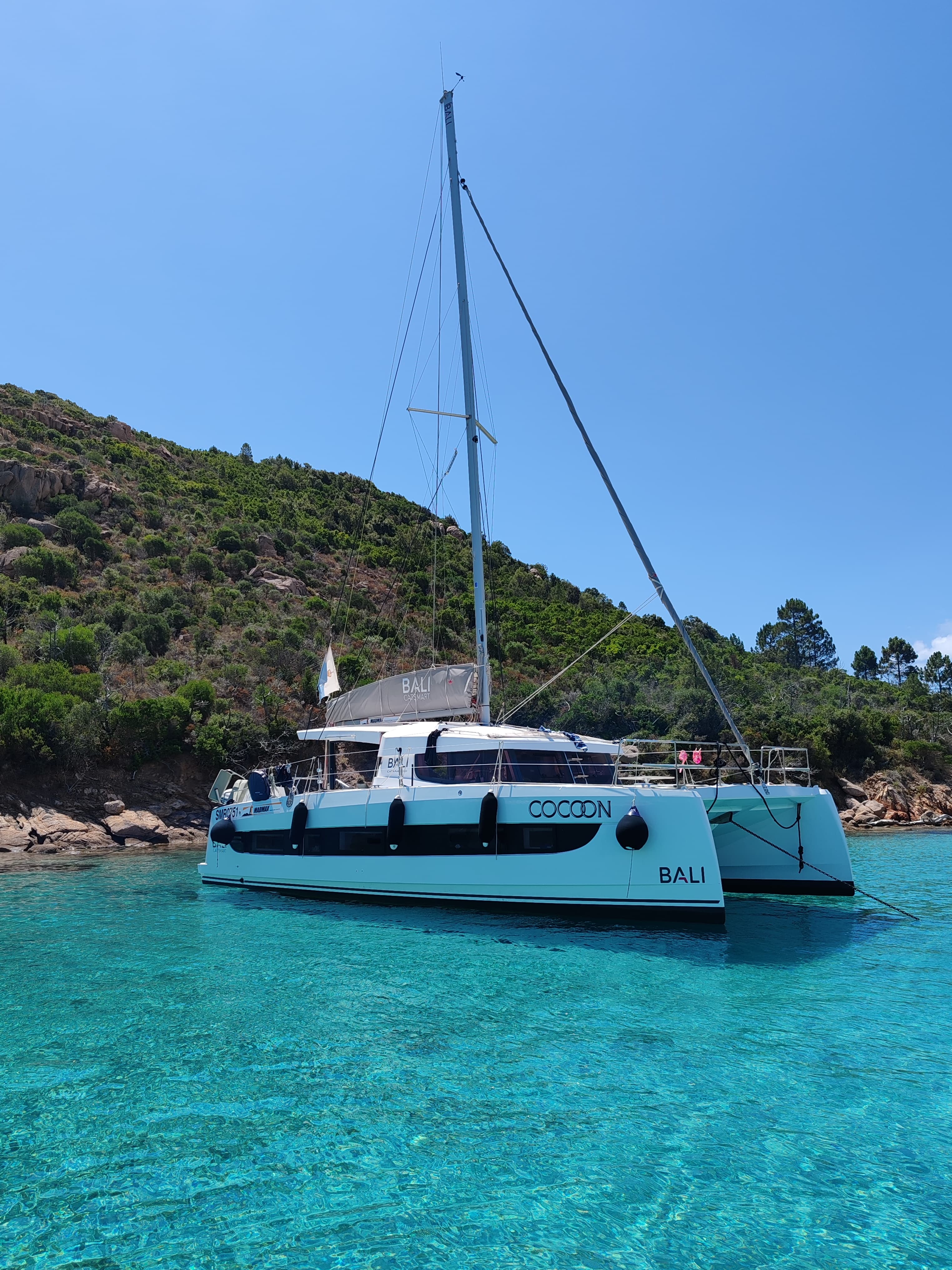 Bali Catsmart - photo 5