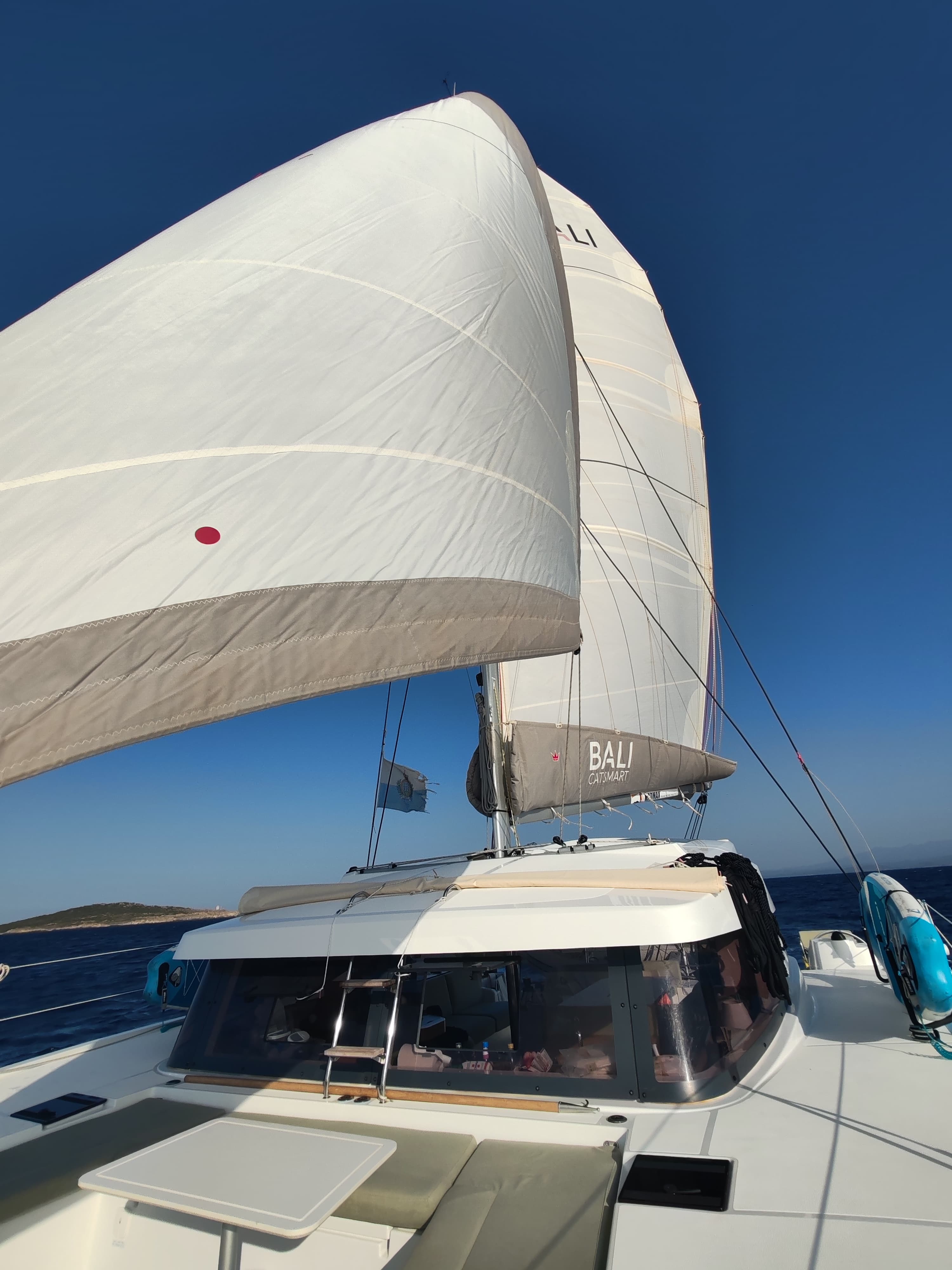 Bali Catsmart - photo 70