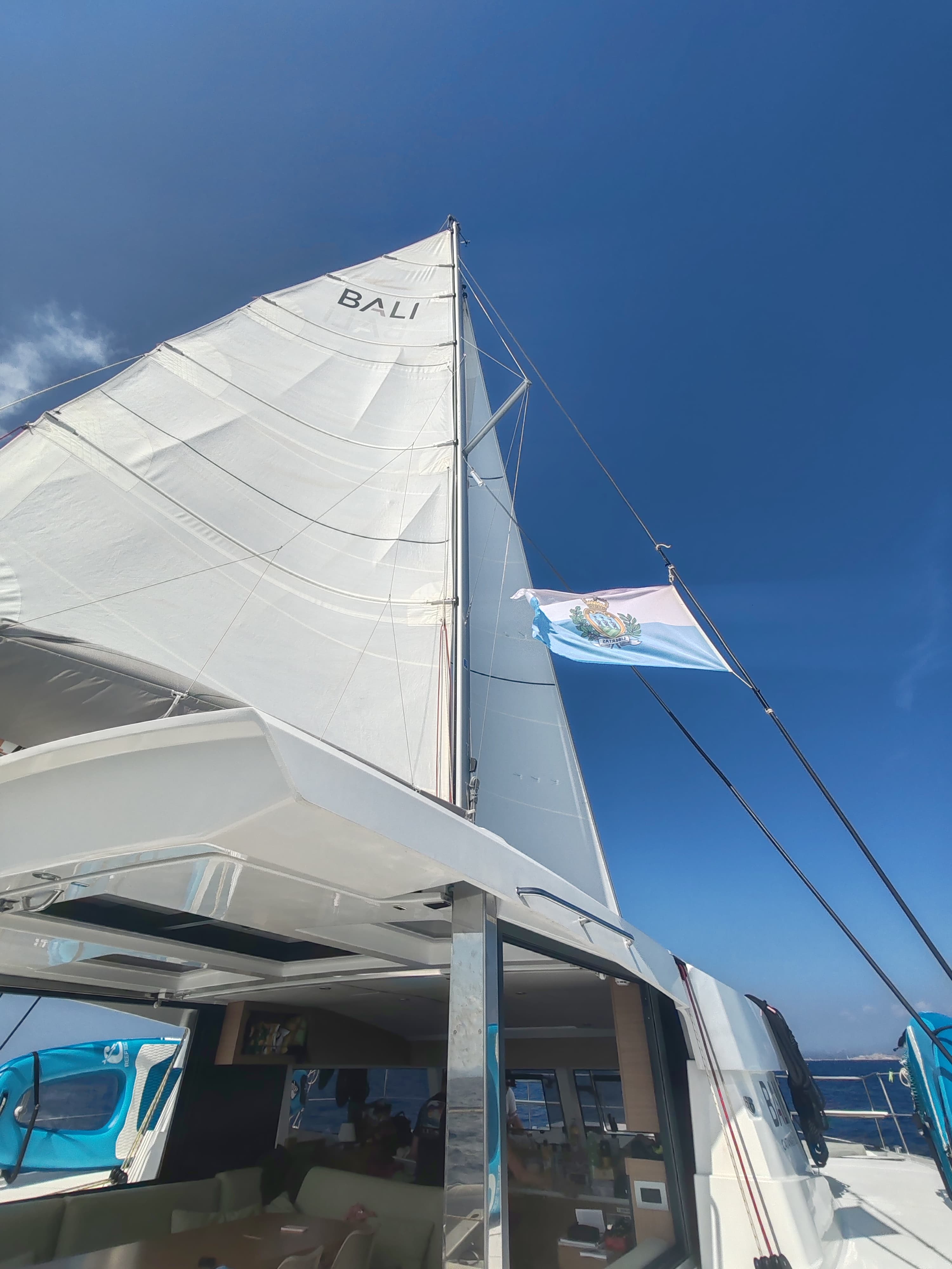 Bali Catsmart - photo 60