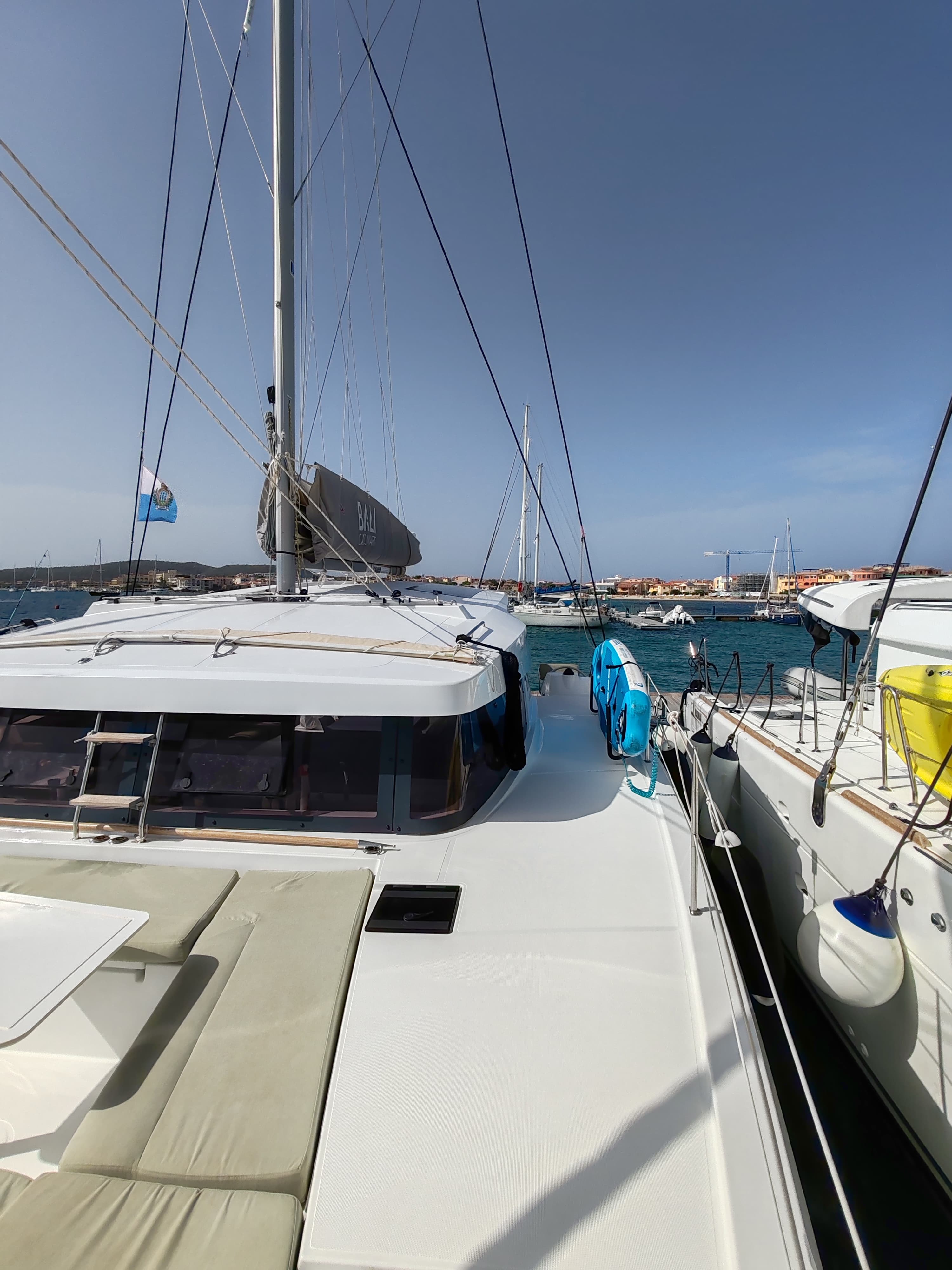 Bali Catsmart - photo 42