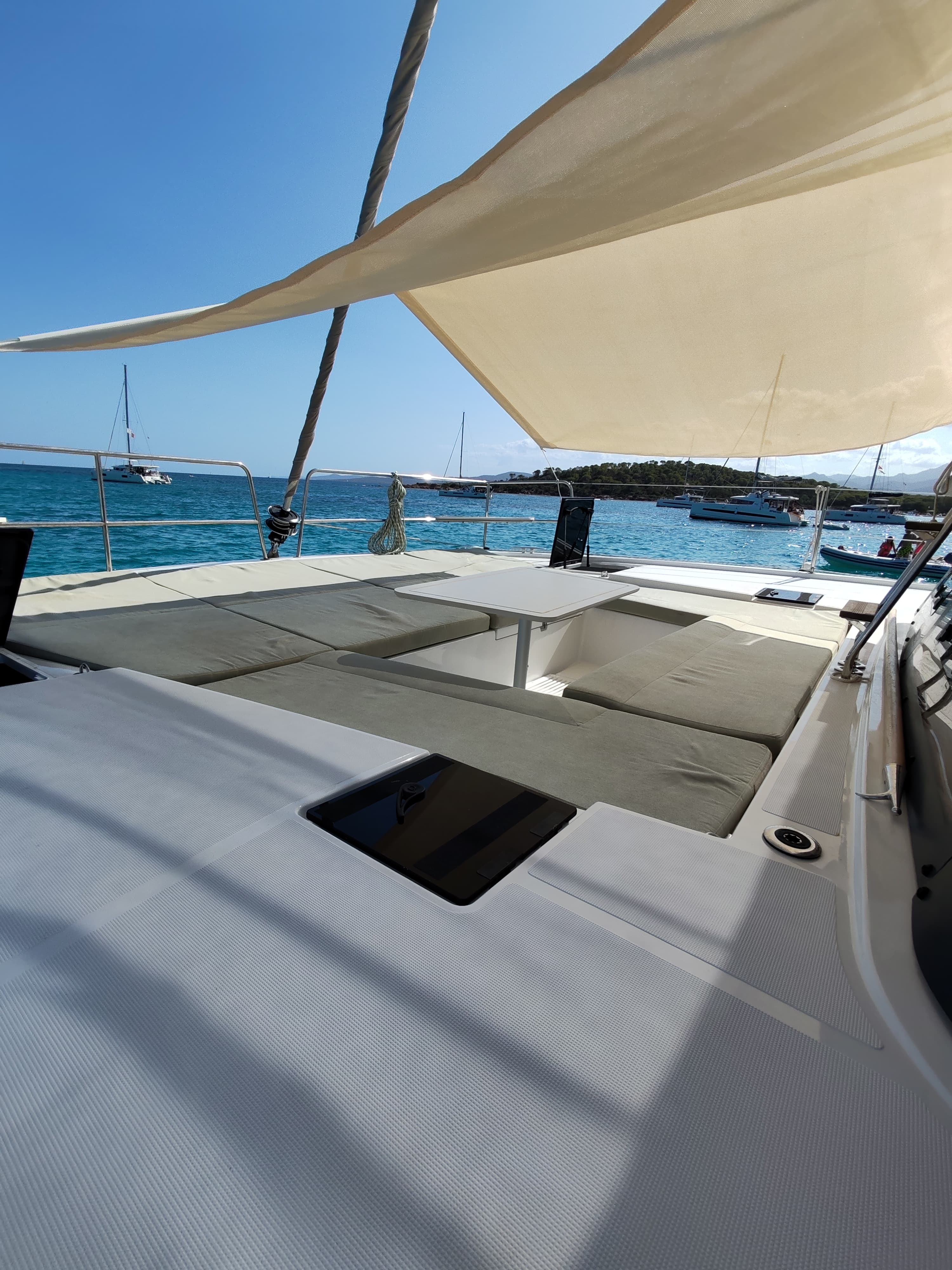 Bali Catsmart - photo 12