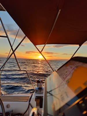 Oceanis 393 - photo 9