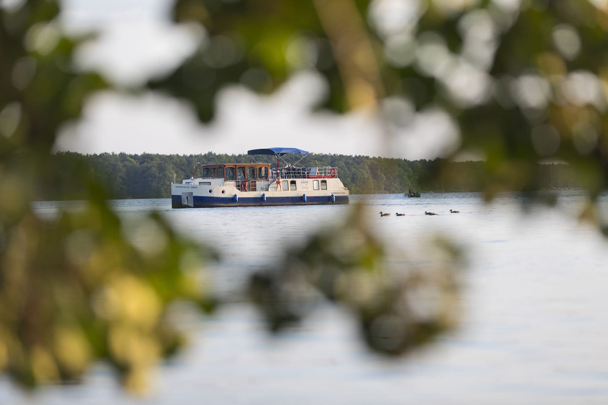 Kormoran 1280 - photo 24