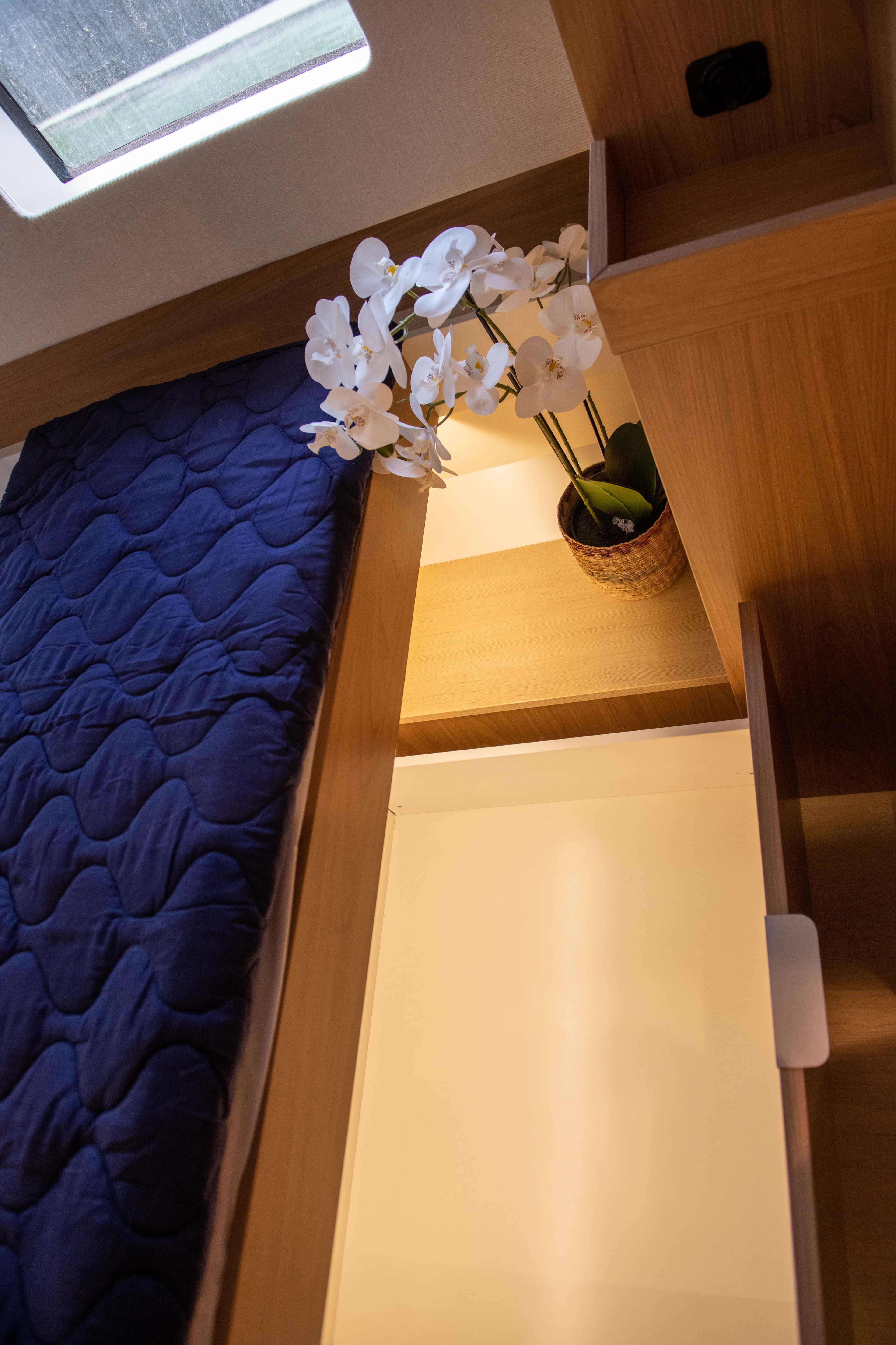 Bali Catsmart - photo 59