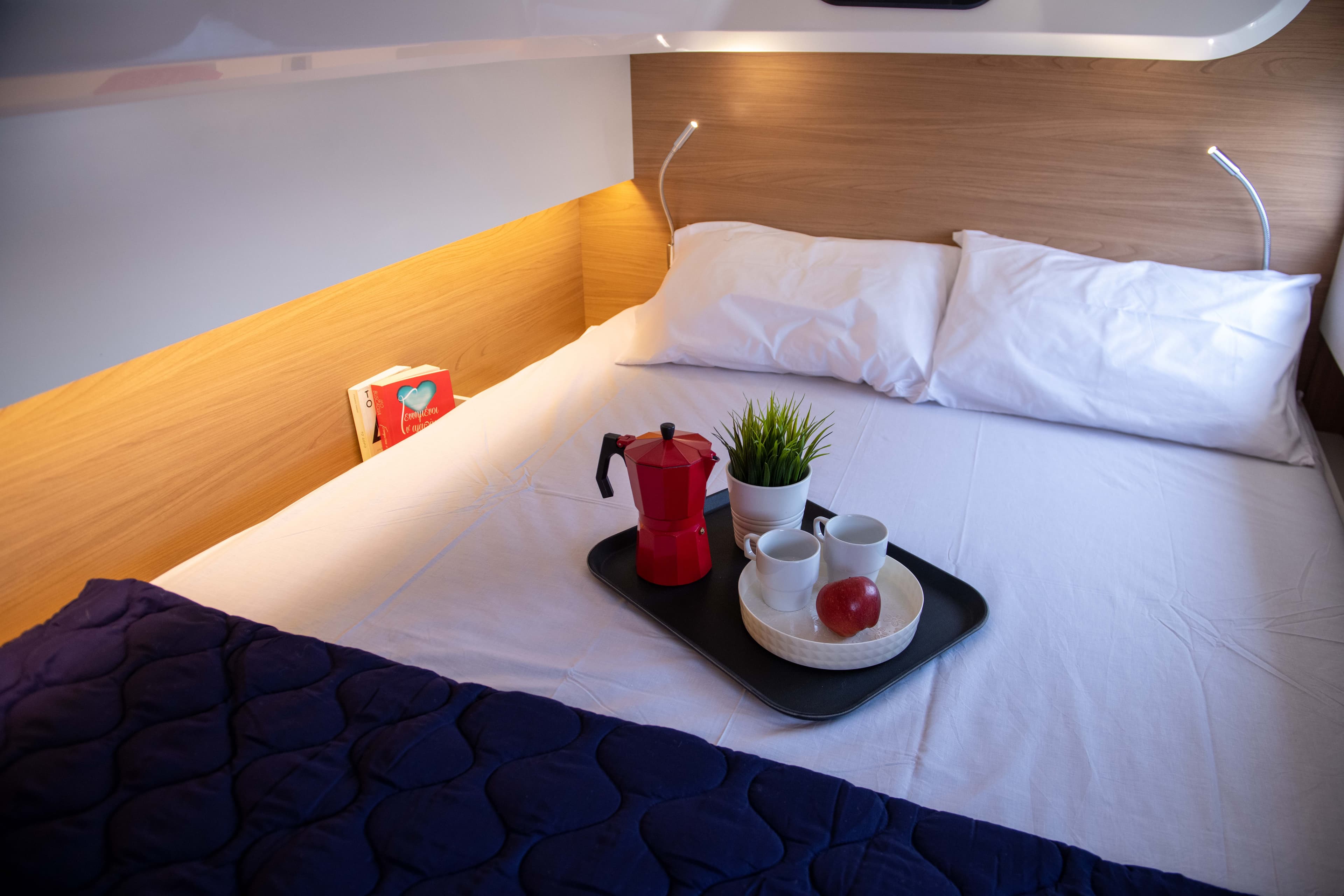 Bali Catsmart - photo 36