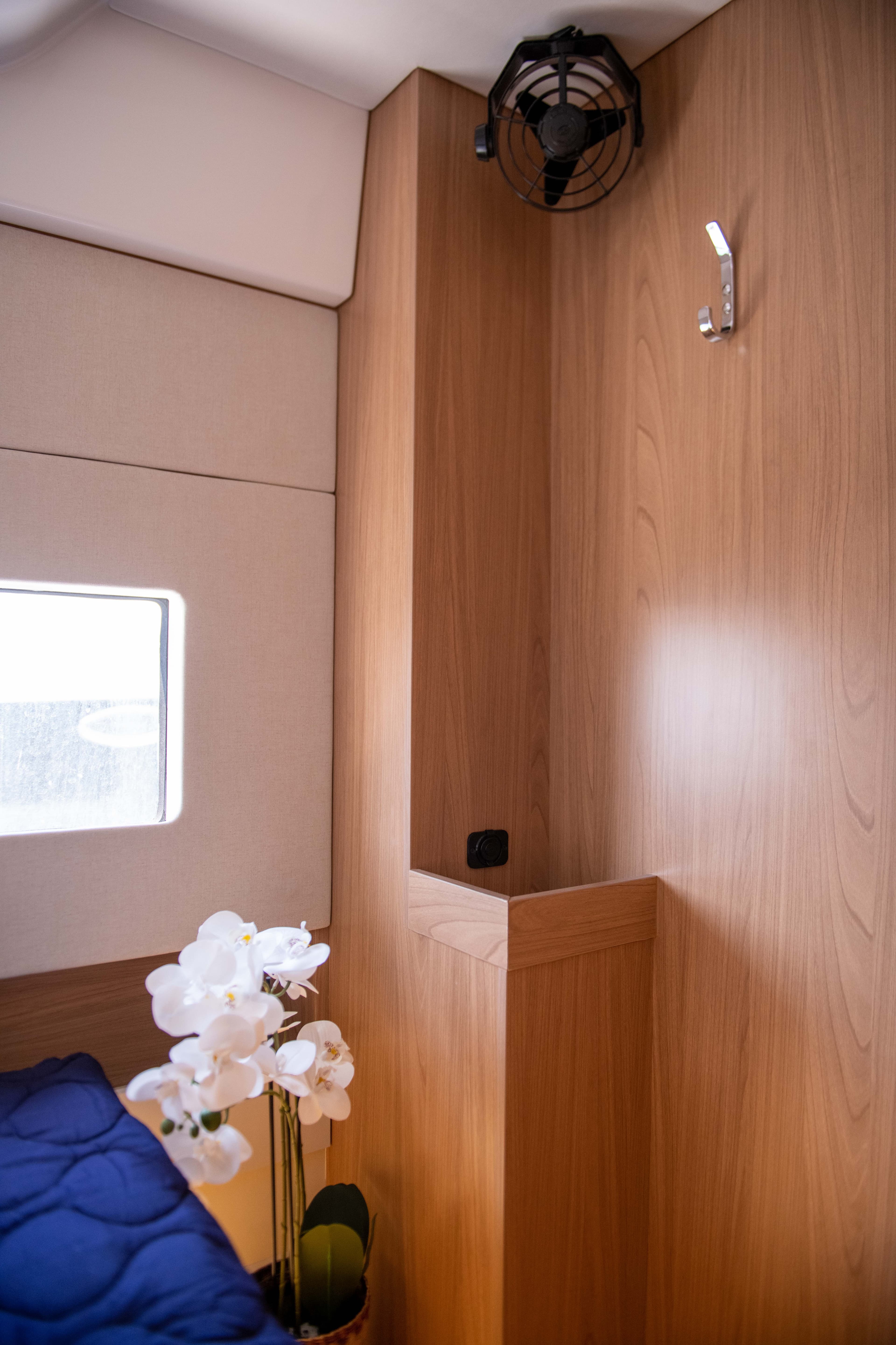 Bali Catsmart - photo 41