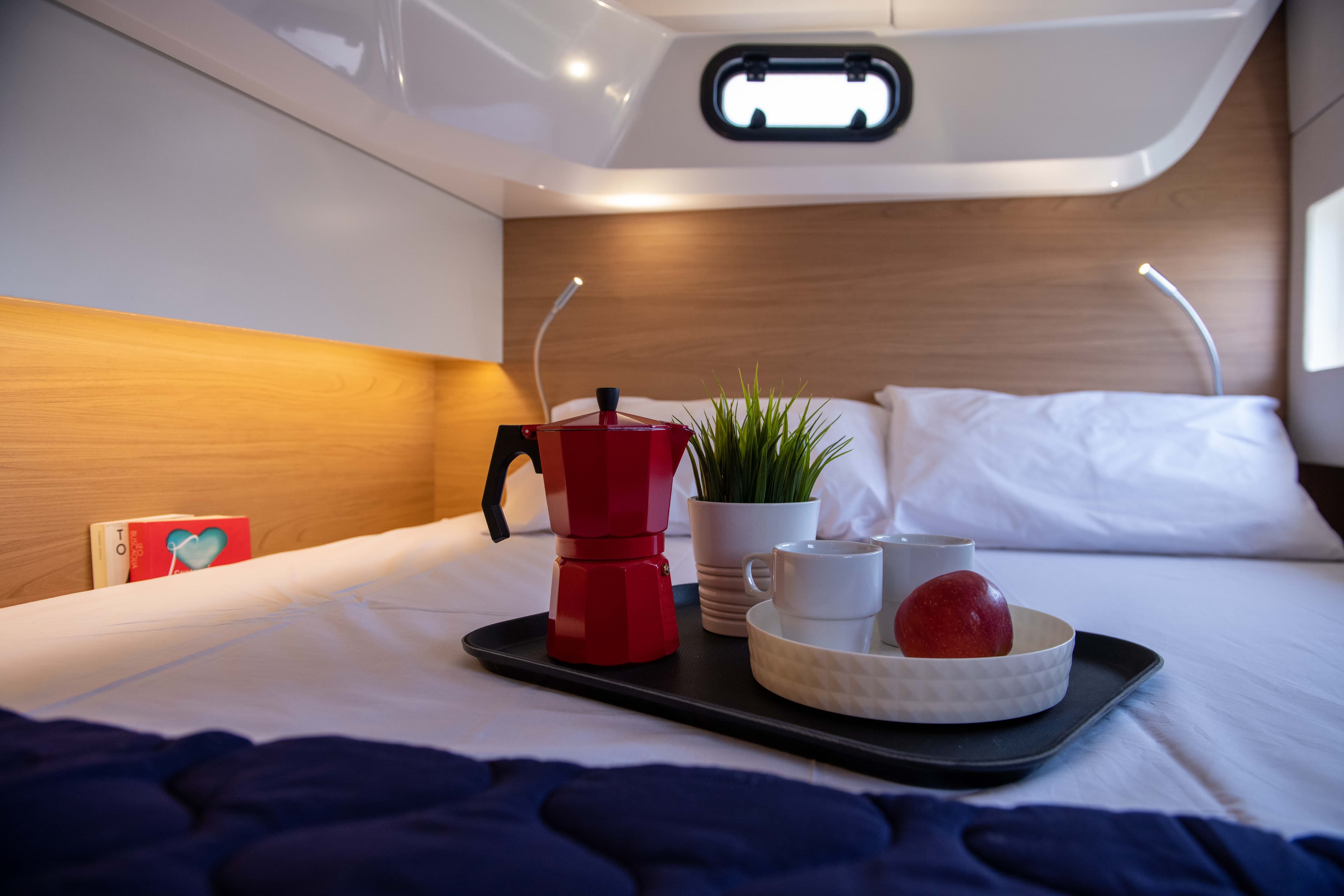 Bali Catsmart - photo 33