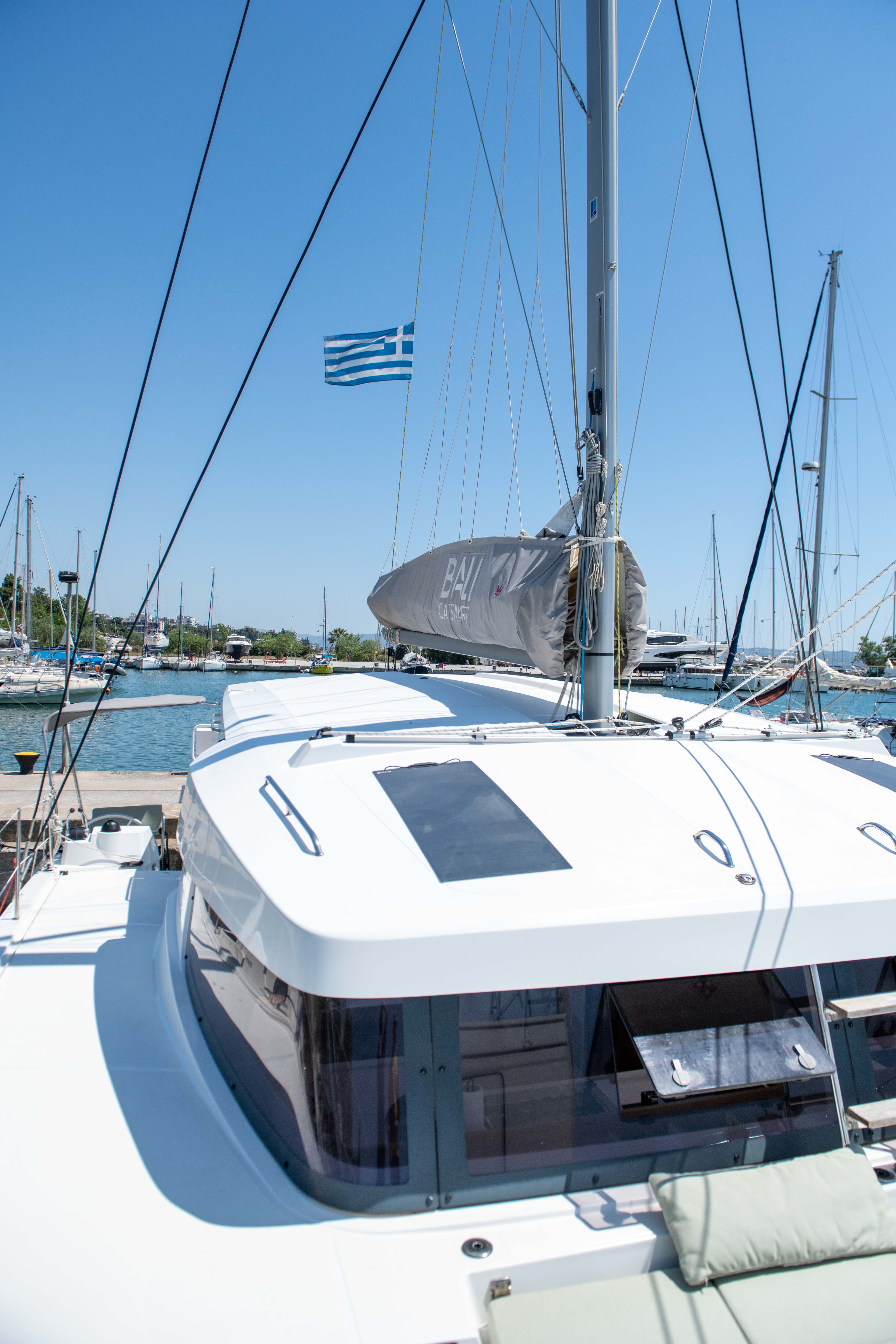 Bali Catsmart - photo 43