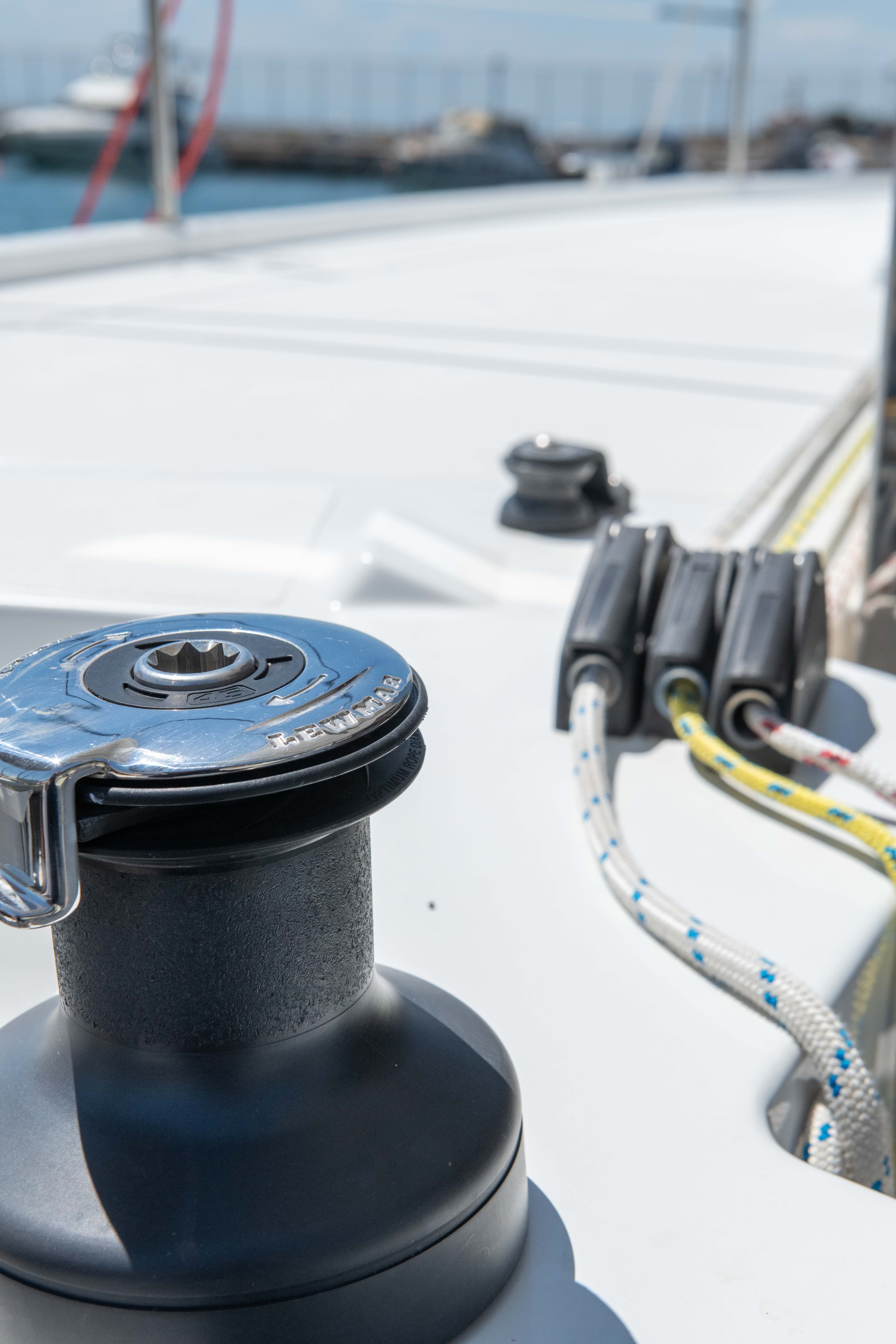 Bali Catsmart - photo 13