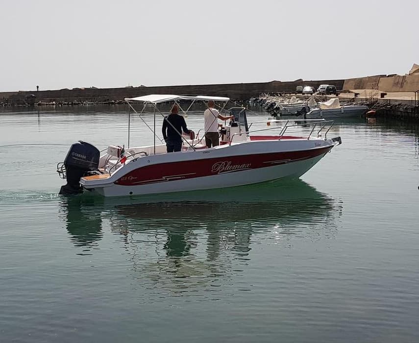 Blumax 19 Pro - photo 6