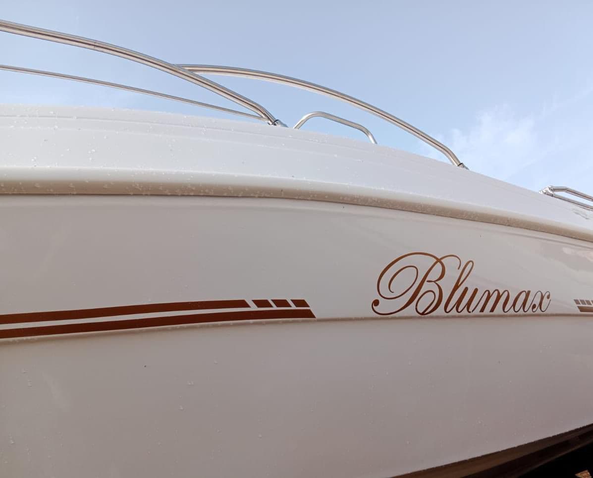 Blumax 19 Pro - photo 10