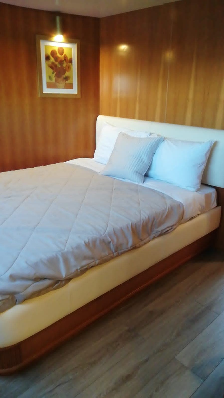 Falcon 92 - photo 15